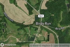 Birds Run