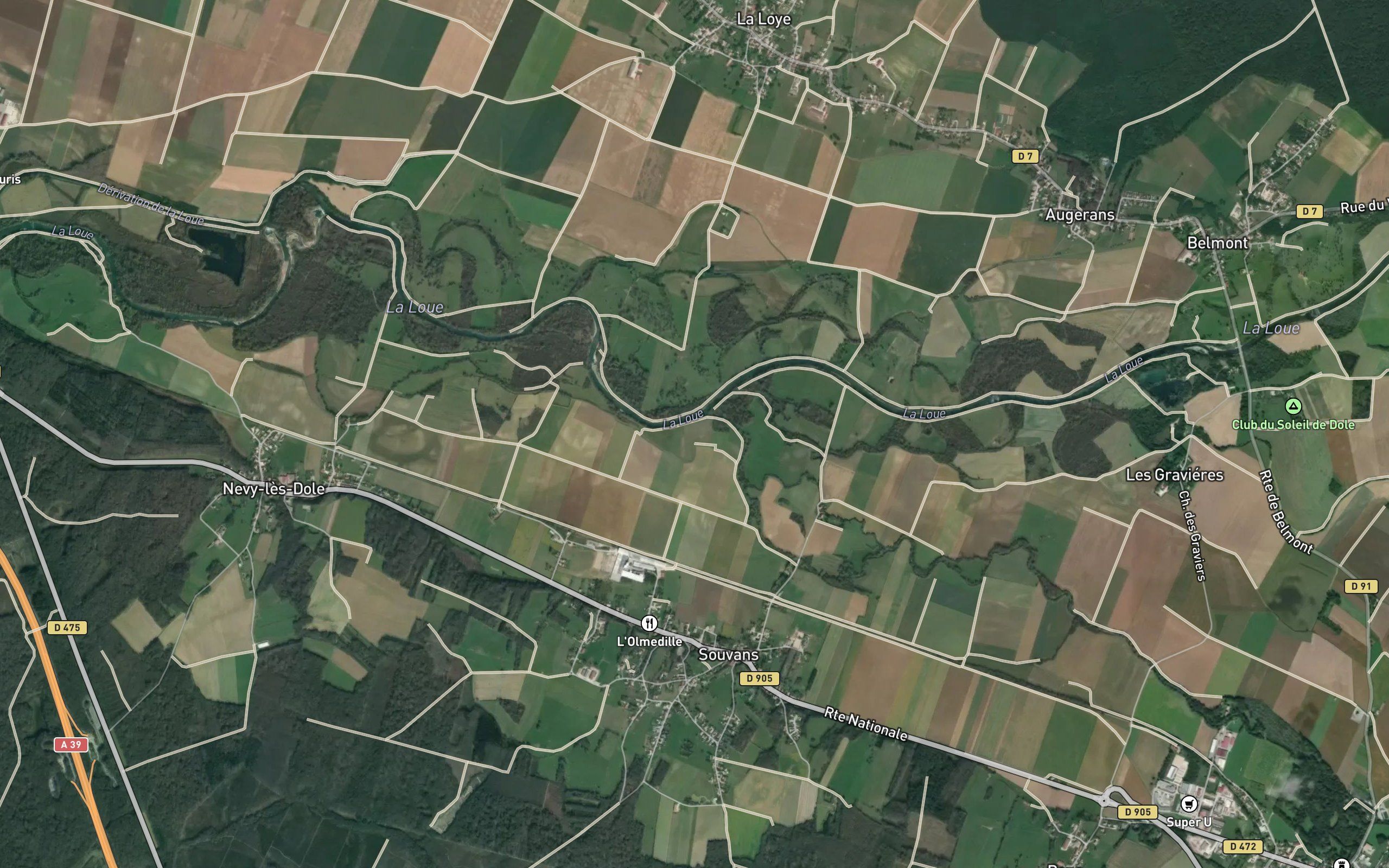 Cuisance