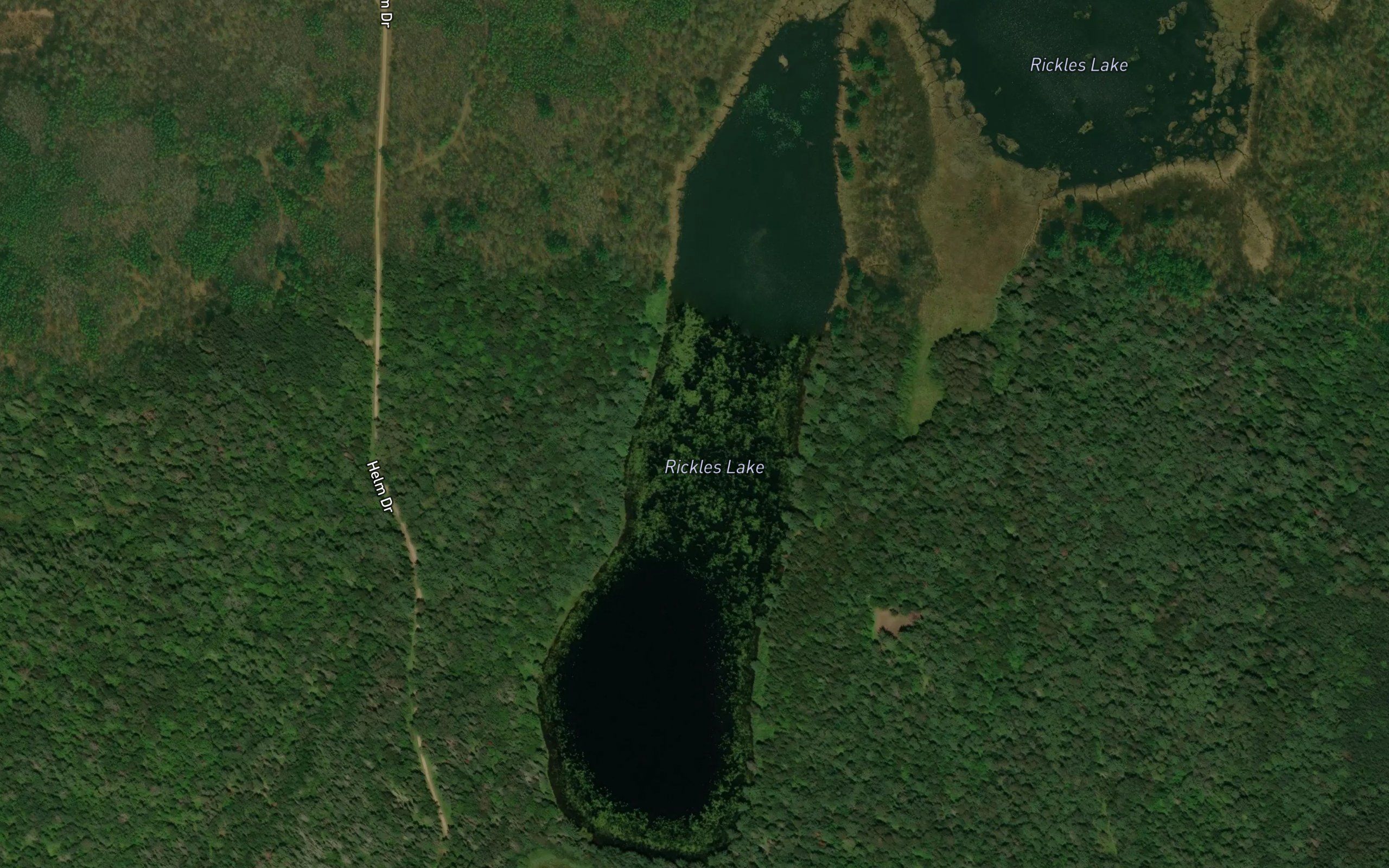 Rickles Lake