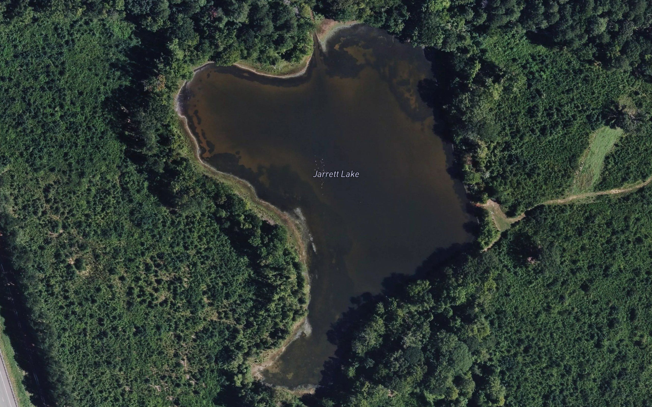 Jarrett Lake