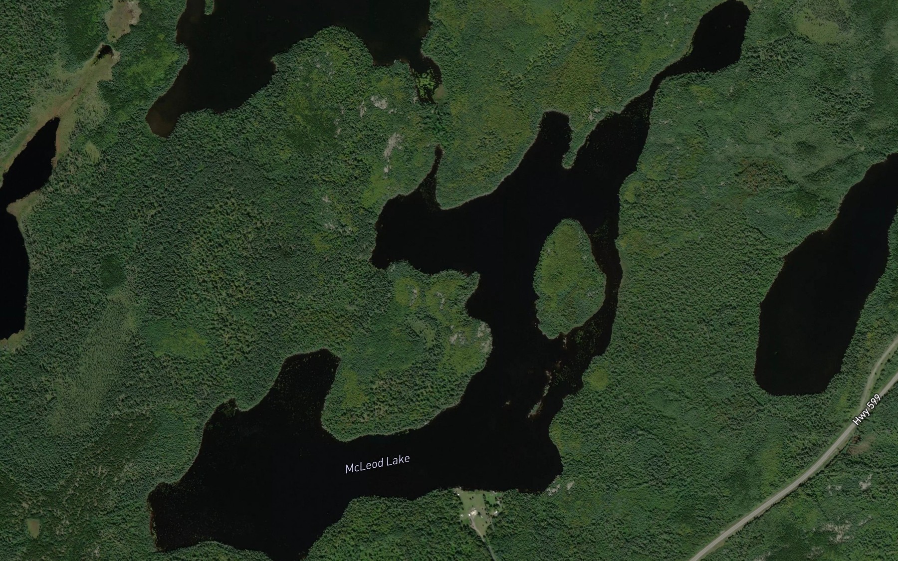 Satellite map of the McLeod Lake