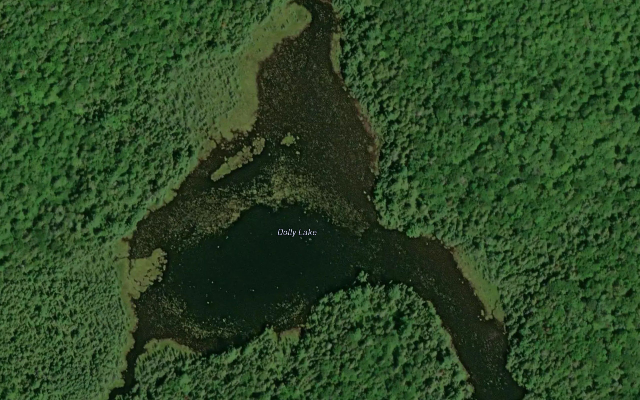 Dolly Lake