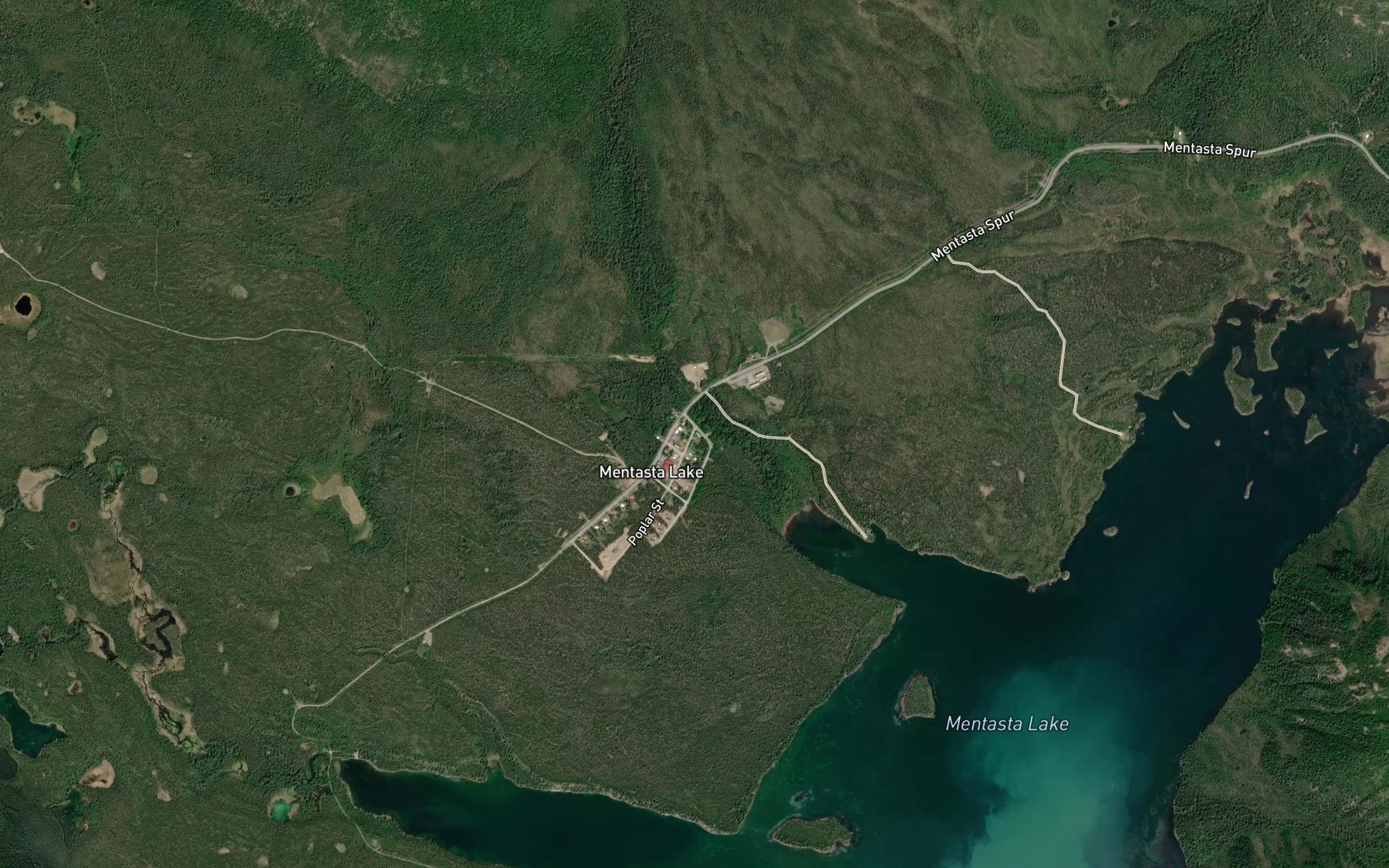 Satellite map of the Mentasta Lake