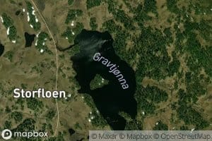 Gravtjorna