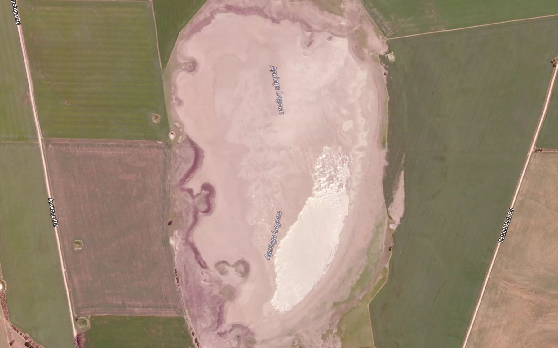 Satellite map of the Apoinga Lagoon