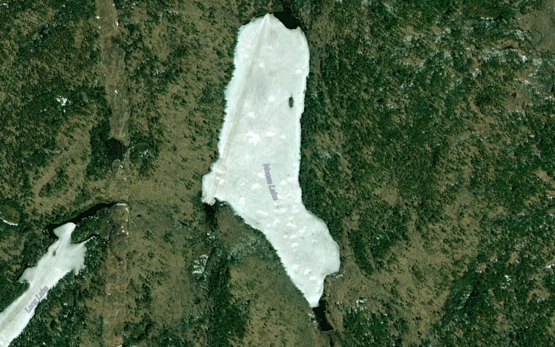Satellite map of the Moose Lake
