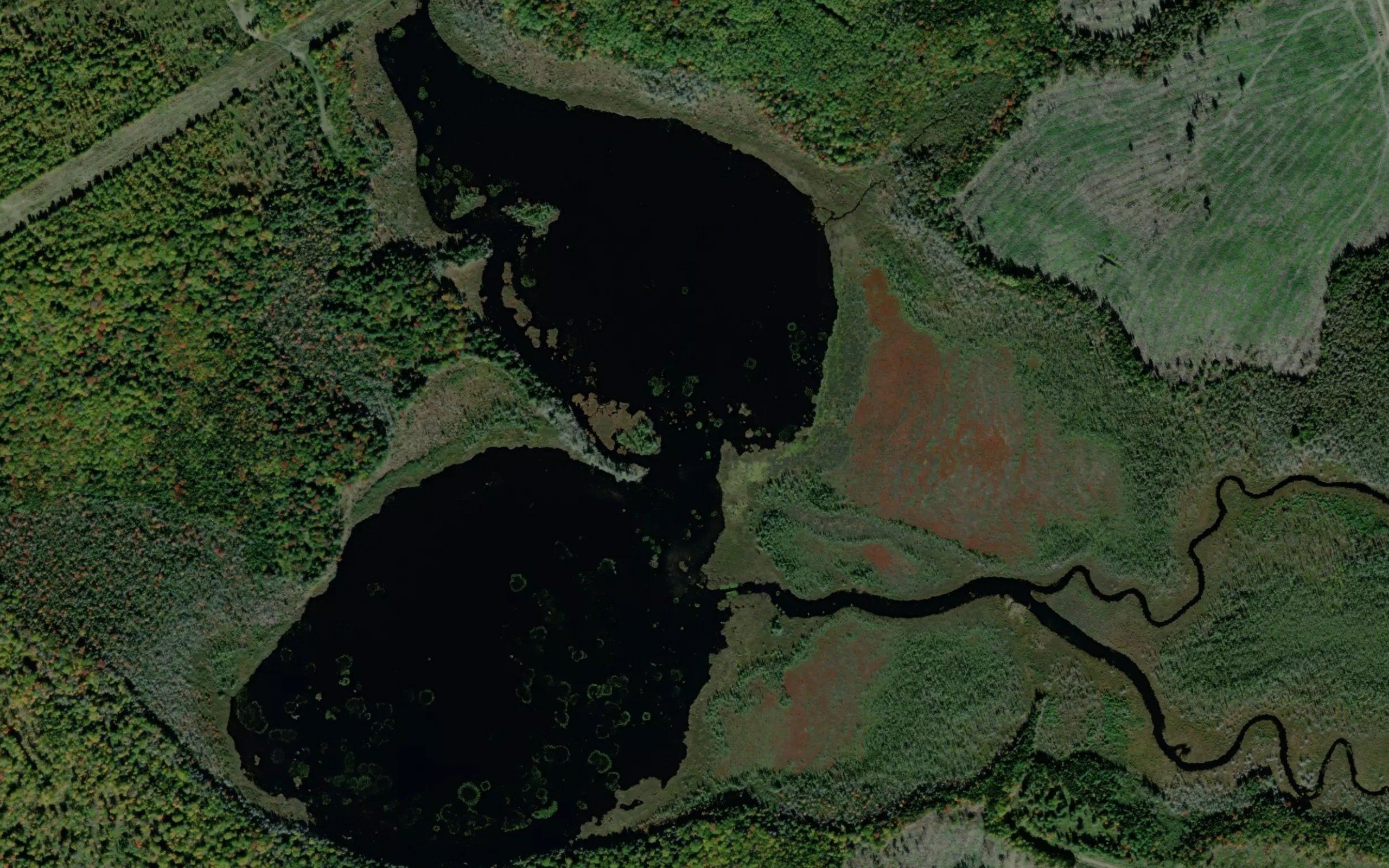 Pocowogamis Lake
