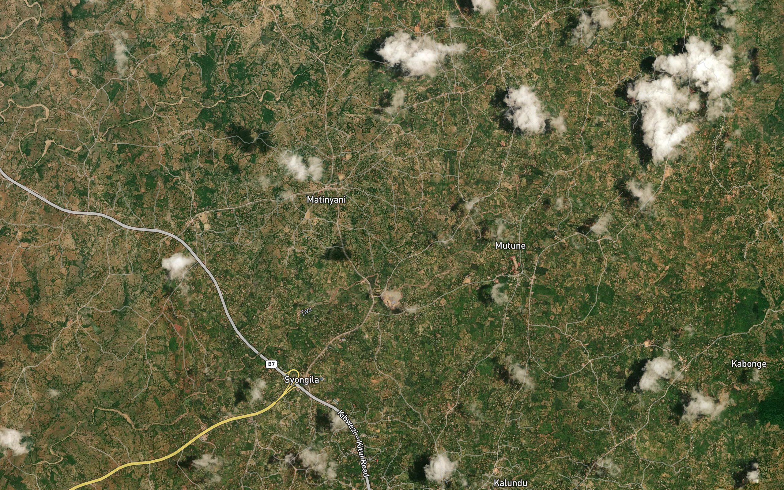 Ngoni