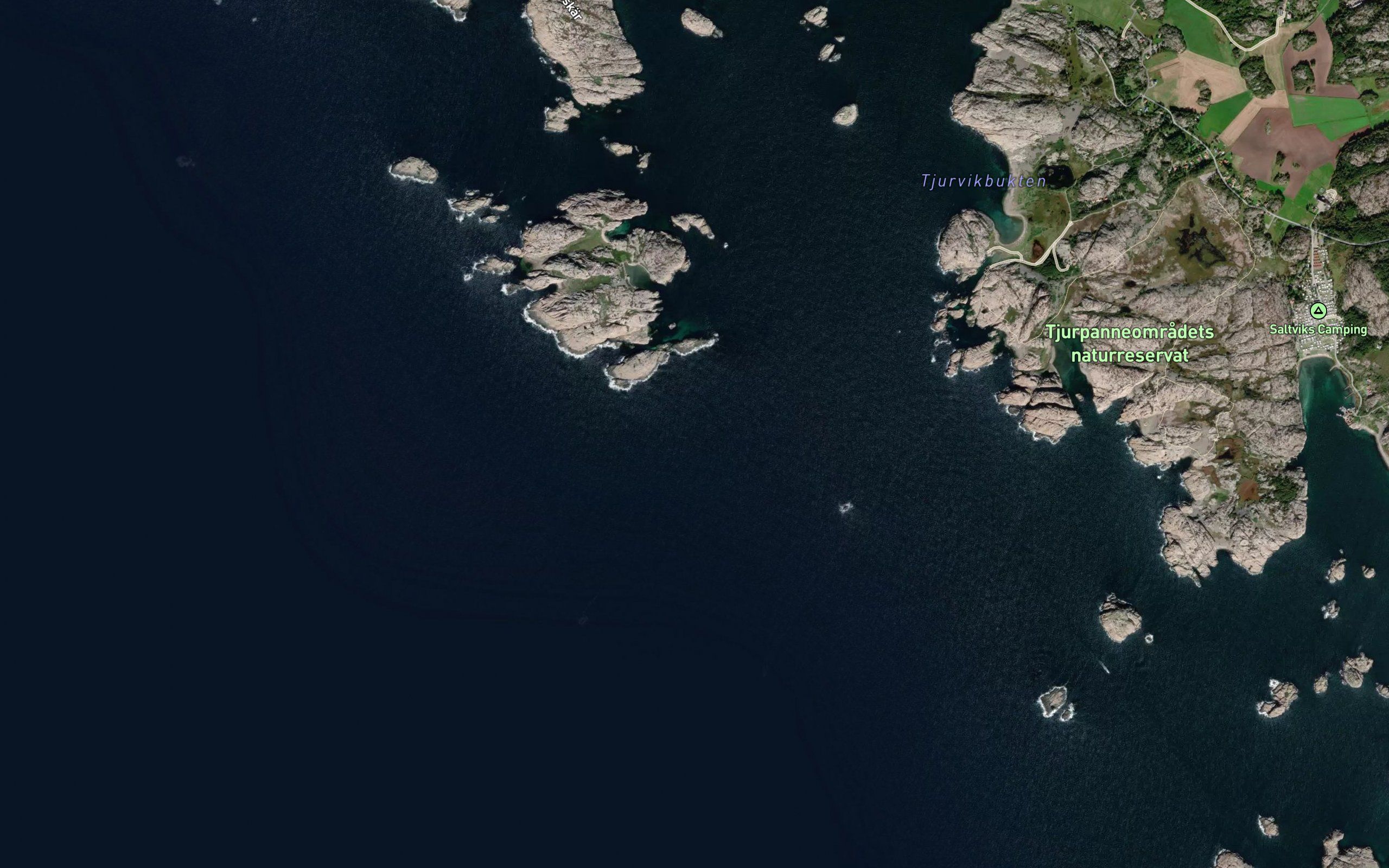 Vidgrund