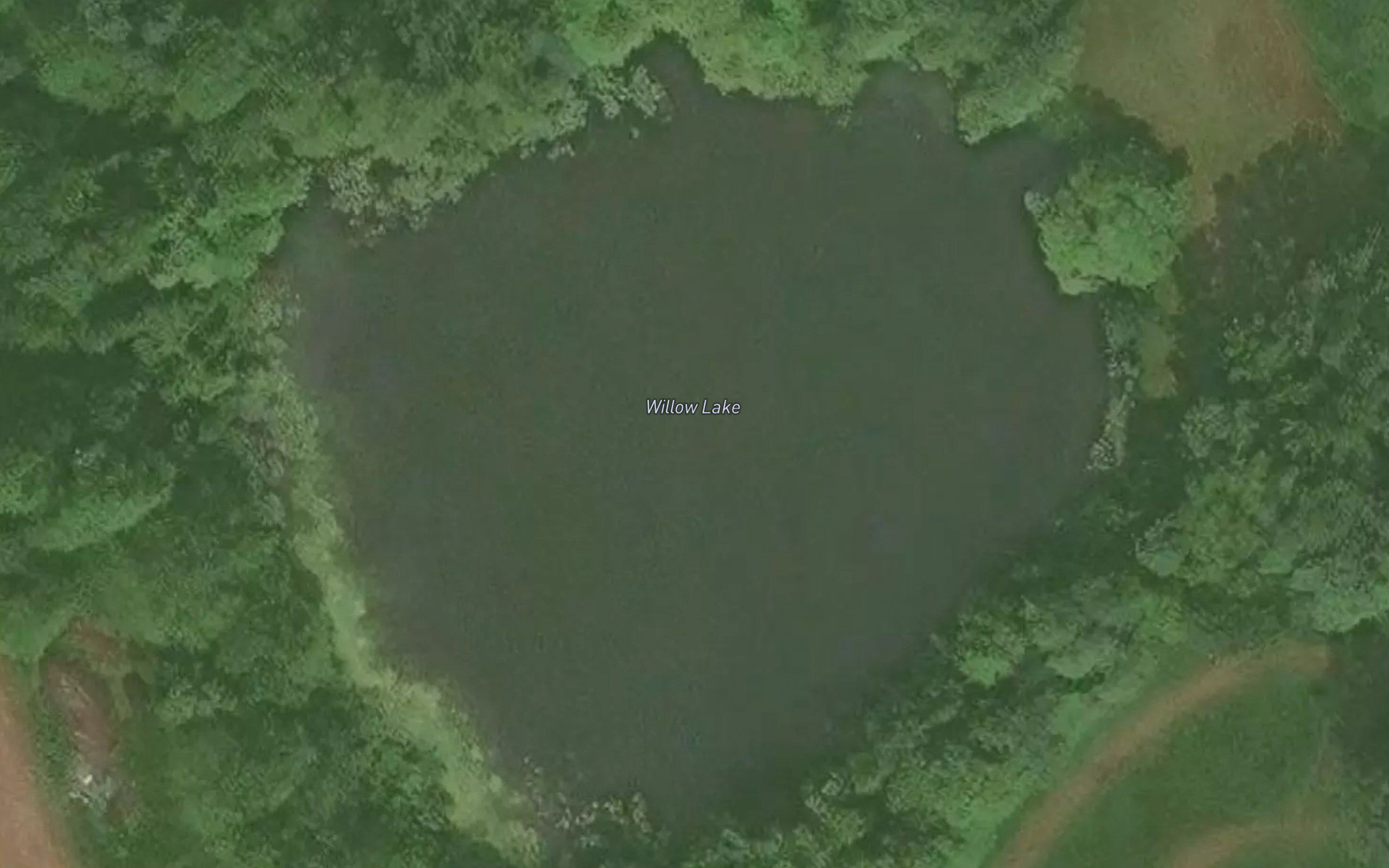 Willow Lake