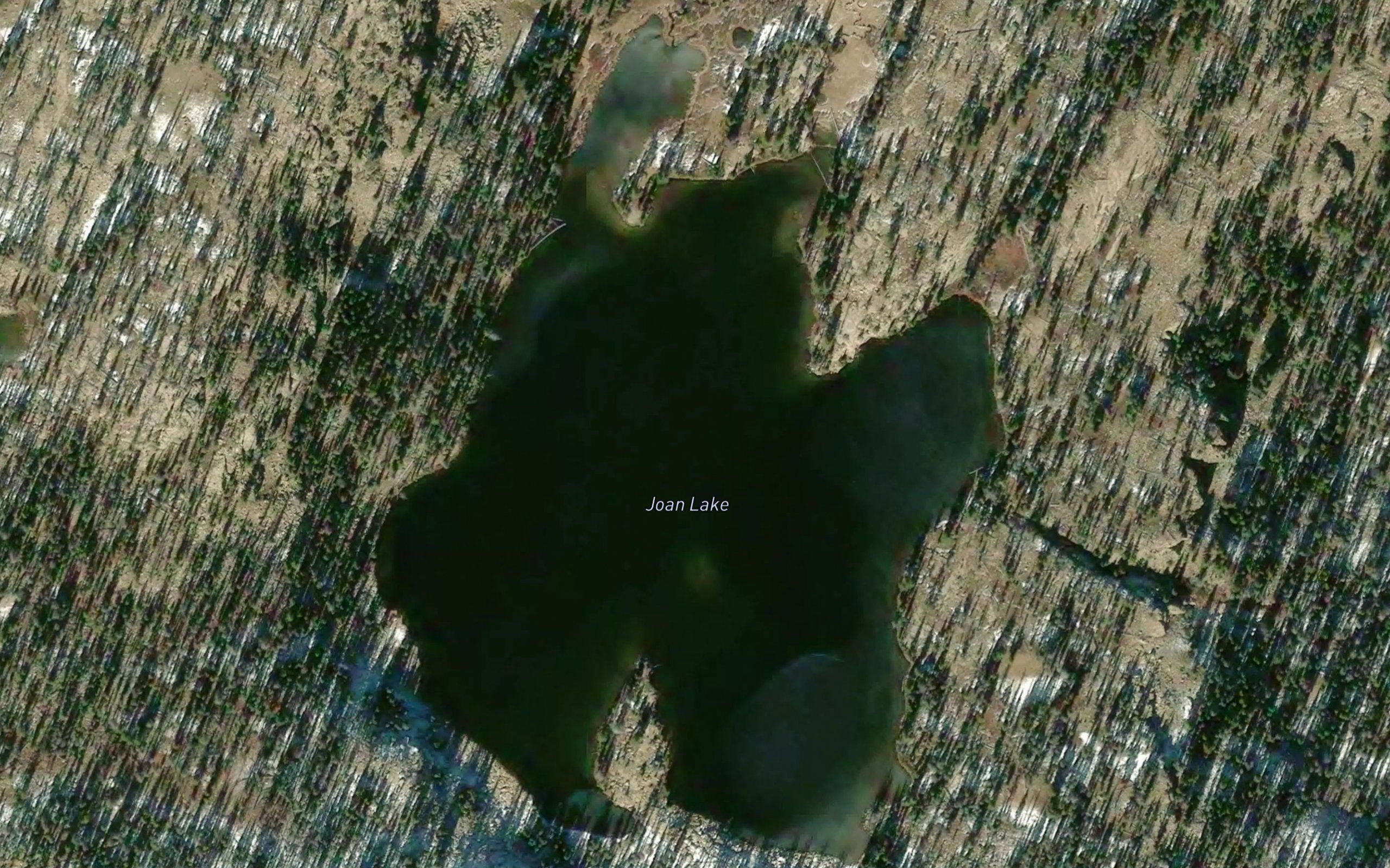 Joan Lake