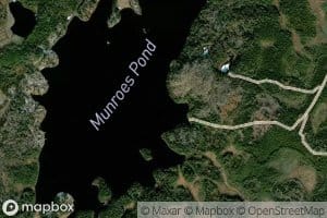Junction Pond Brook