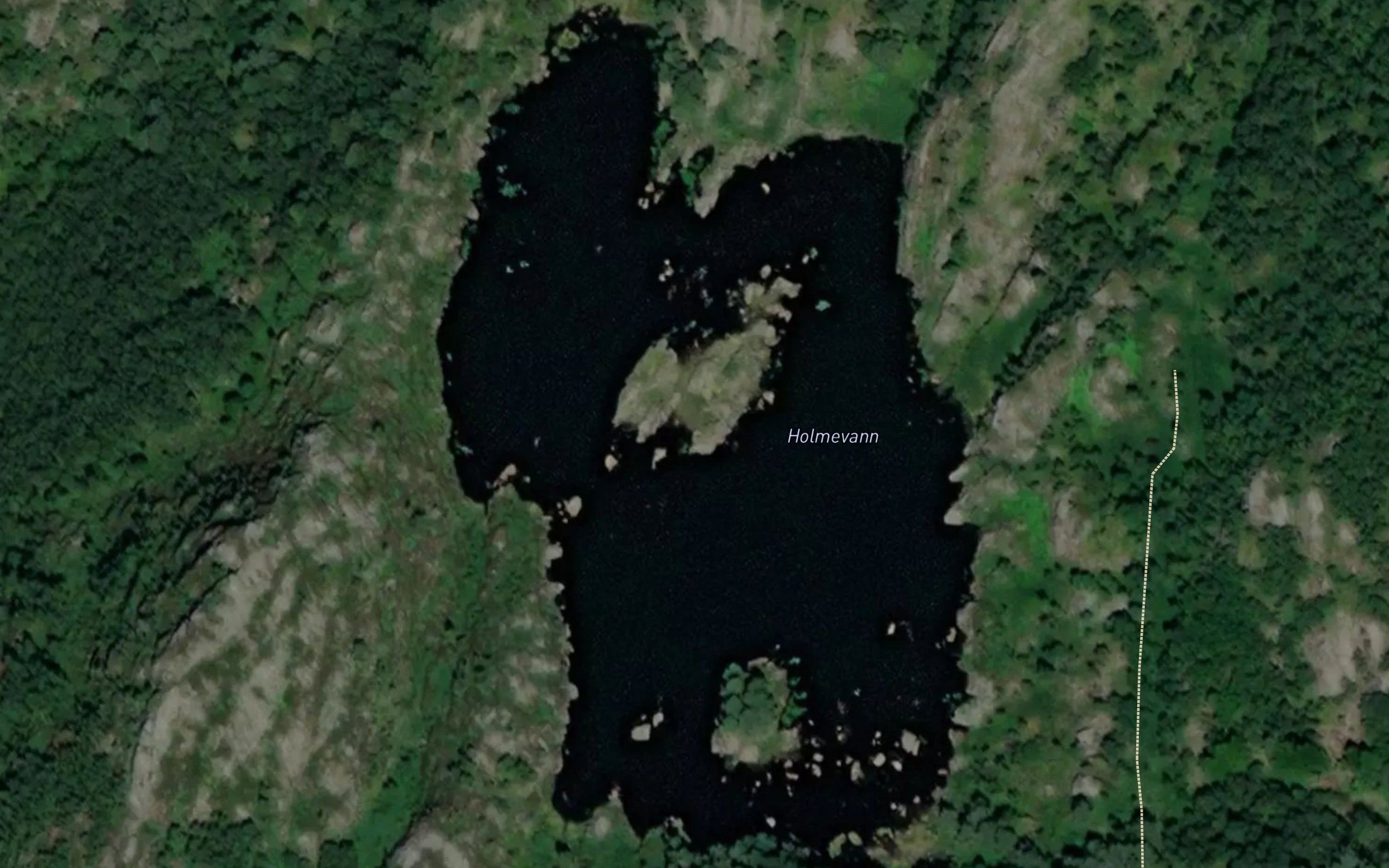 Holmevann