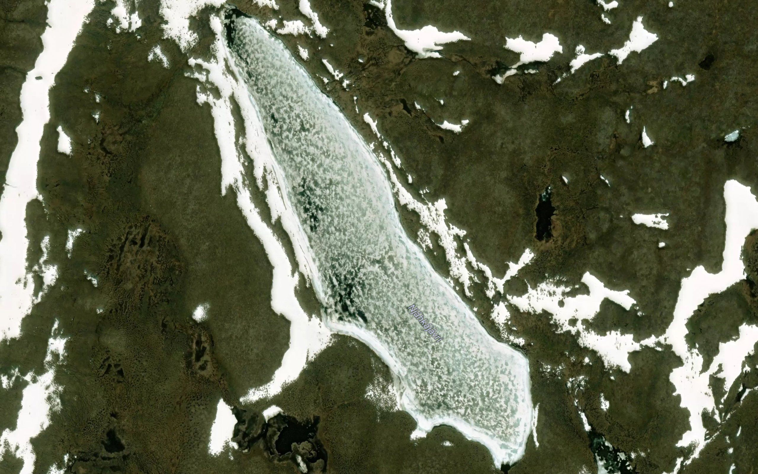 Njakkajavri