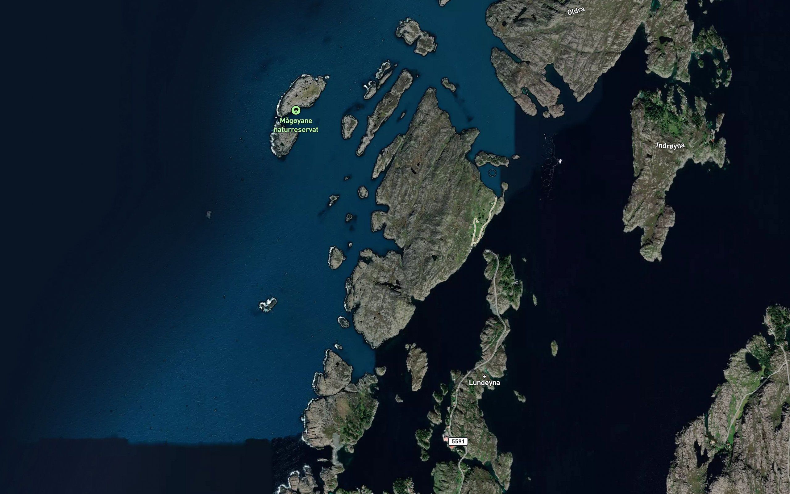 Stokkevika