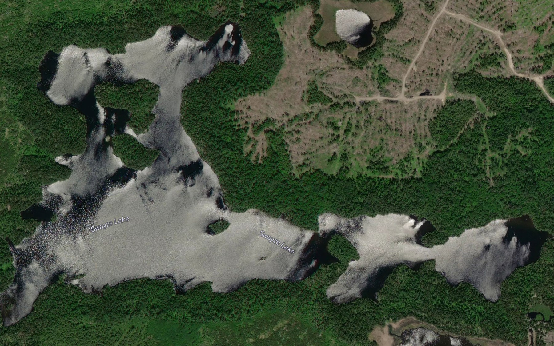 Satellite map of the Swayze Lake