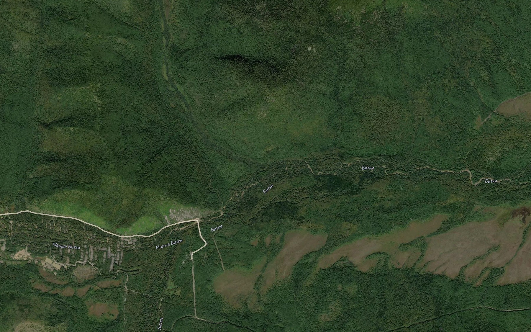 Satellite map of the Gryaznaya