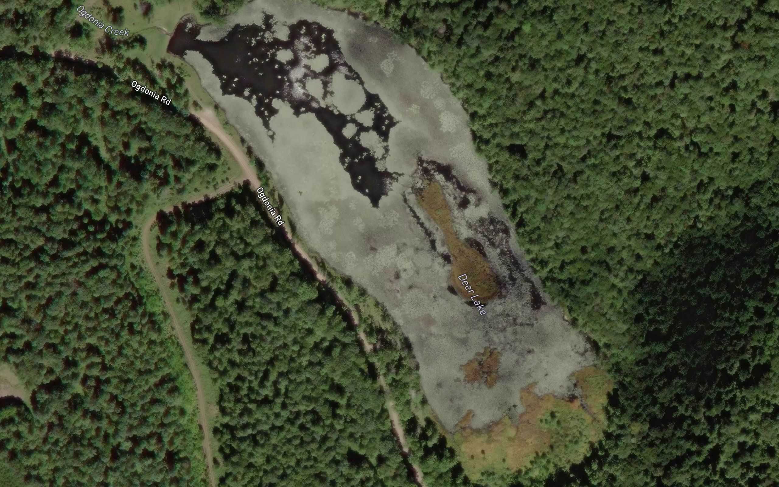 Deer Lake