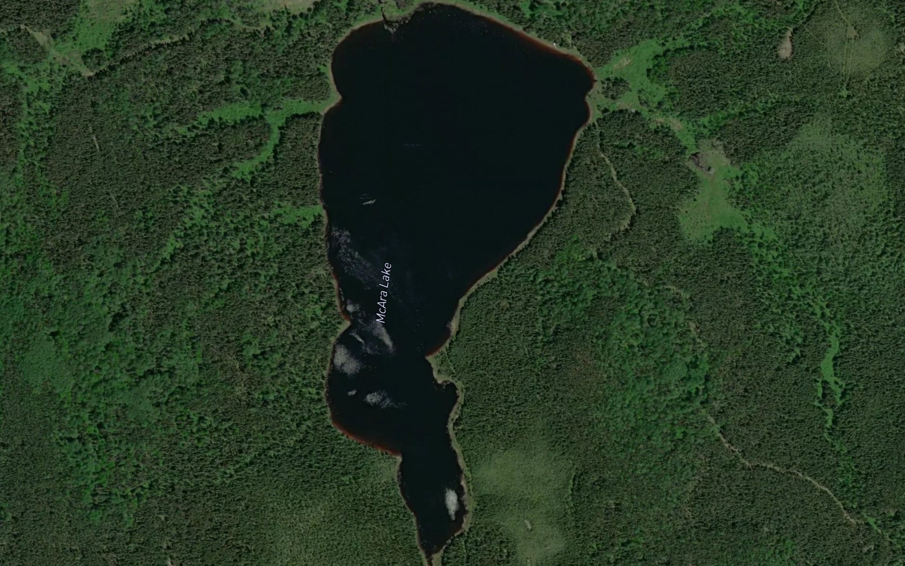 Satellite map of the McAra Lake
