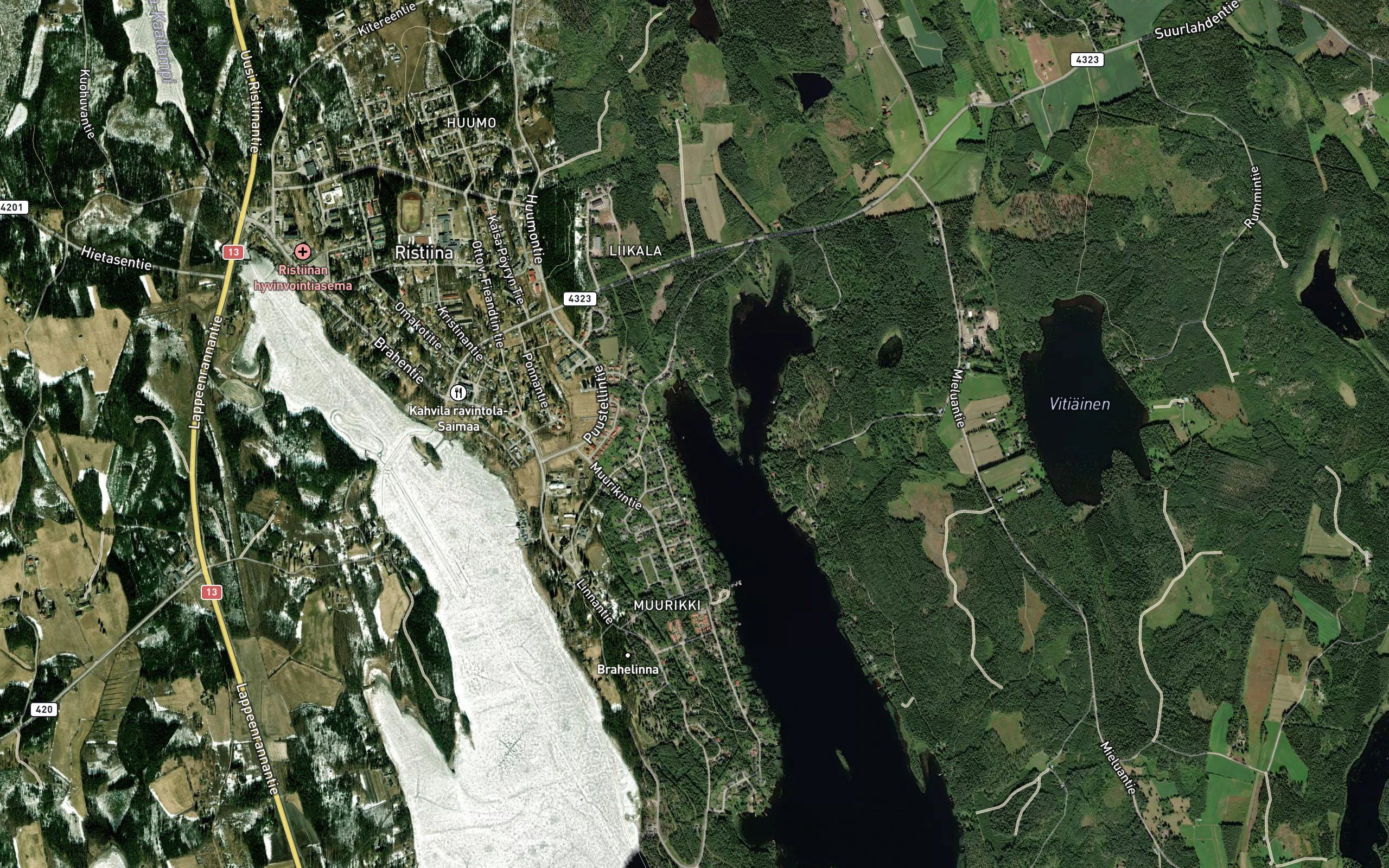 Kissalahti