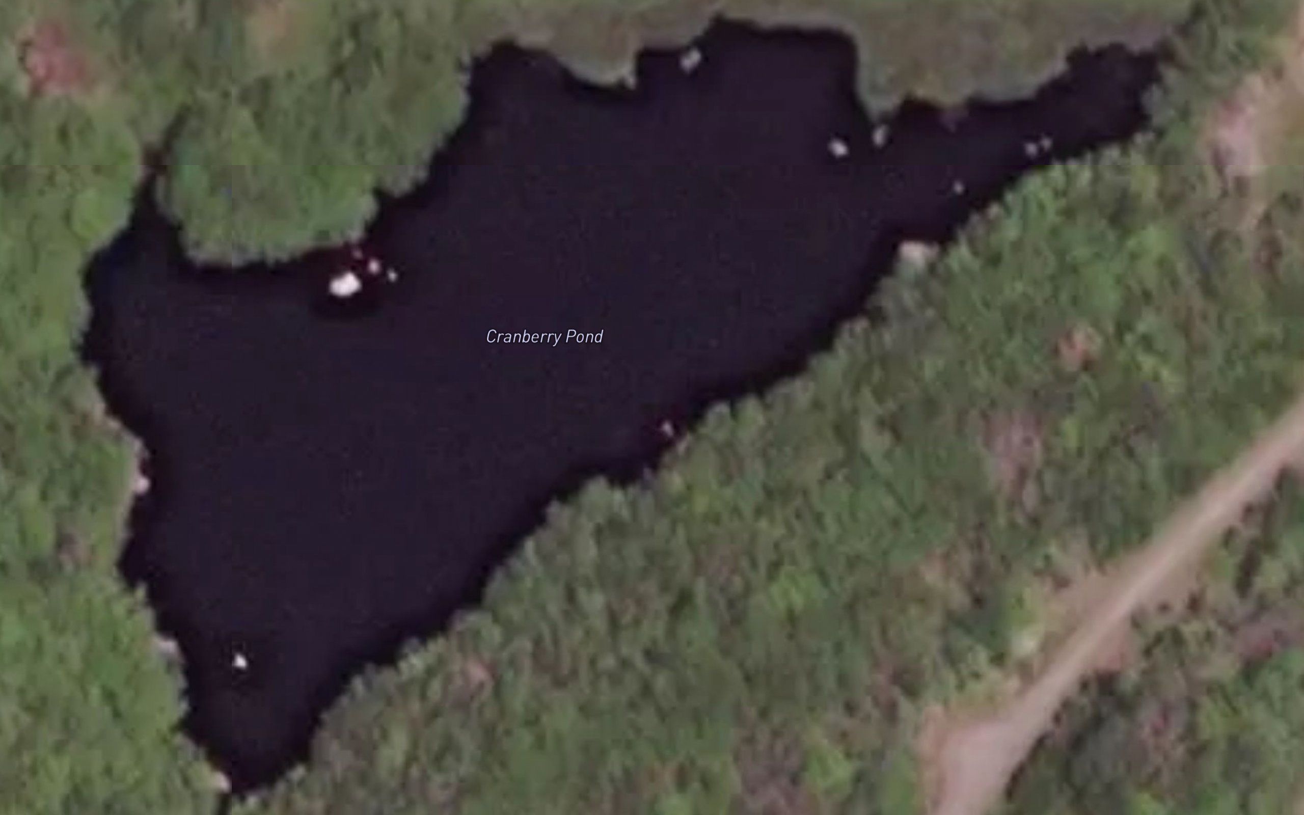 Cranberry Pond