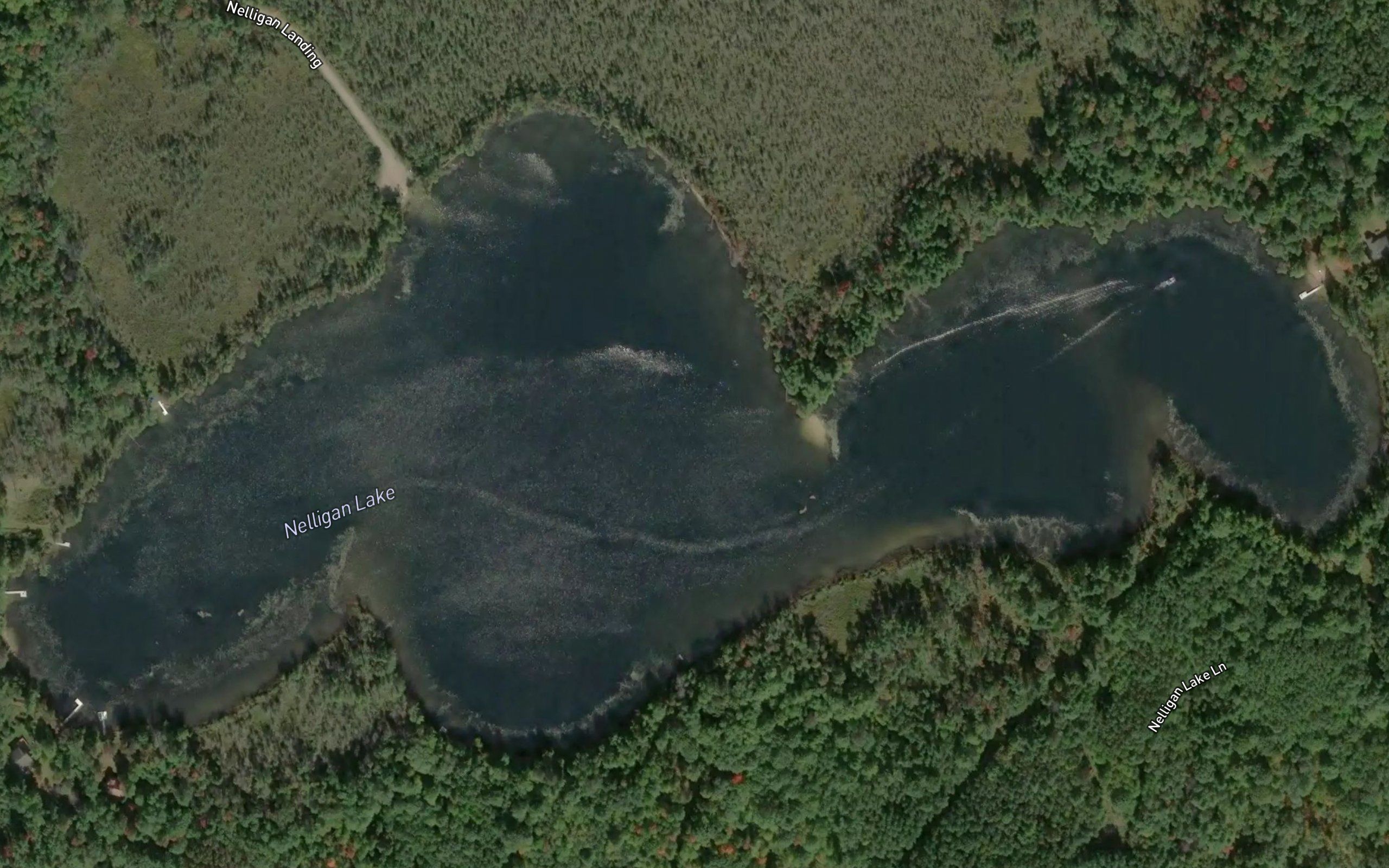 Nelligan Lake