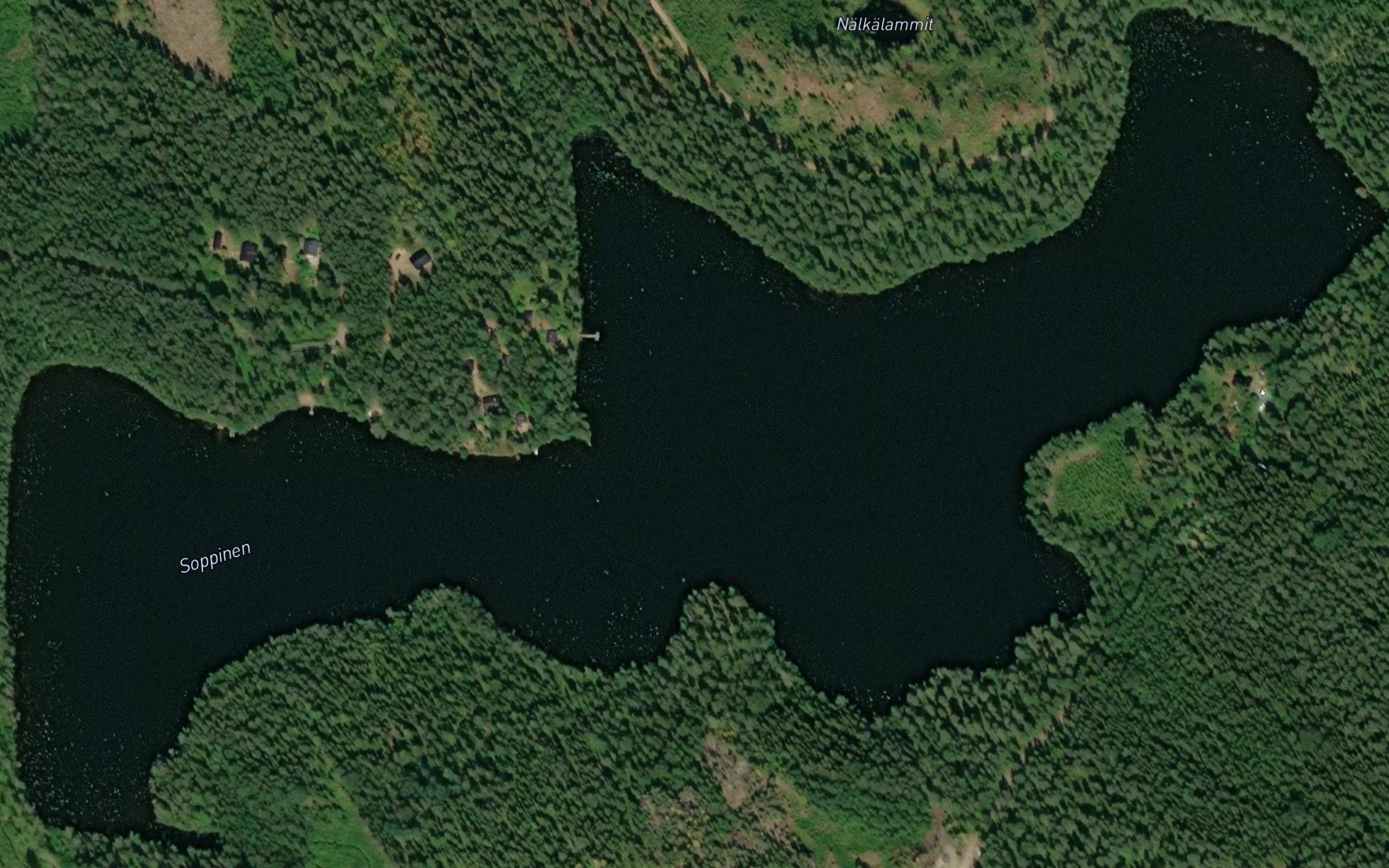 Soppinen