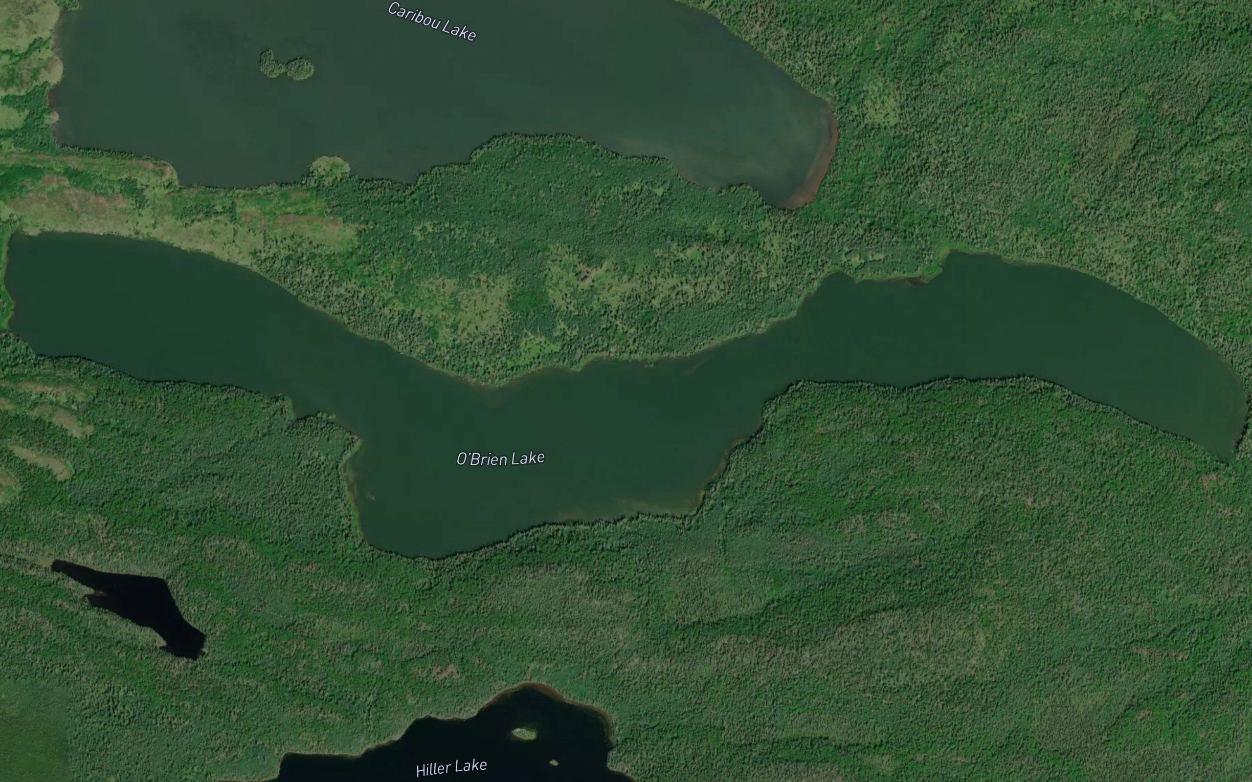 O'Brien Lake