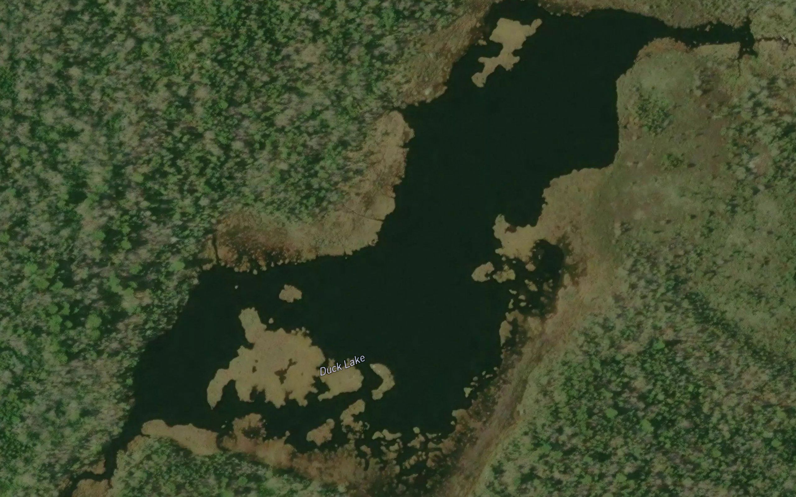Duck Lake