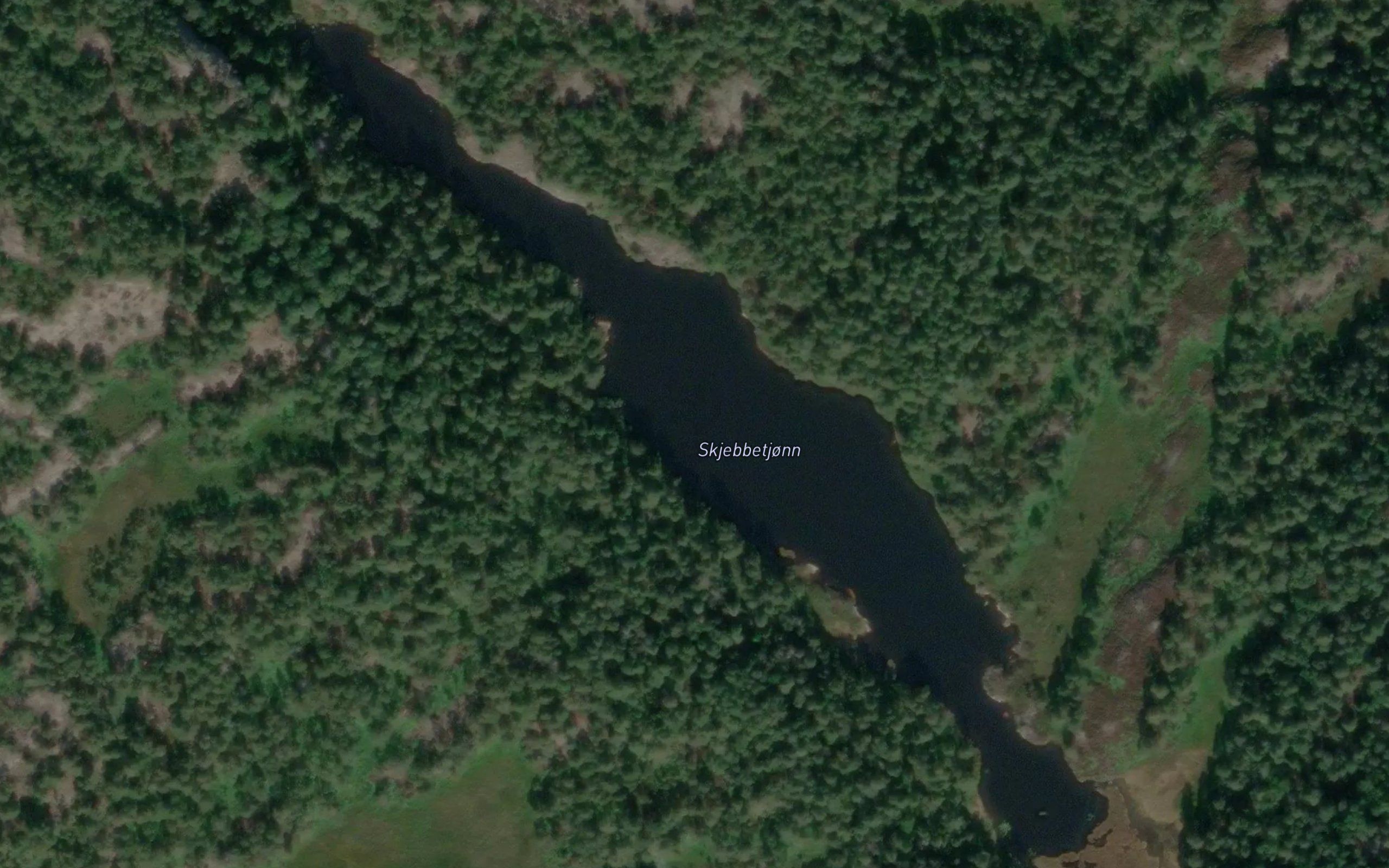 Skjebbetjonn