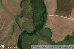 Arroyo Sarandi de los Amarales