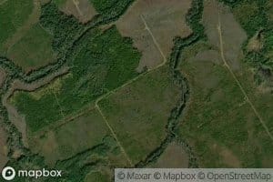 Little Coal Branch River