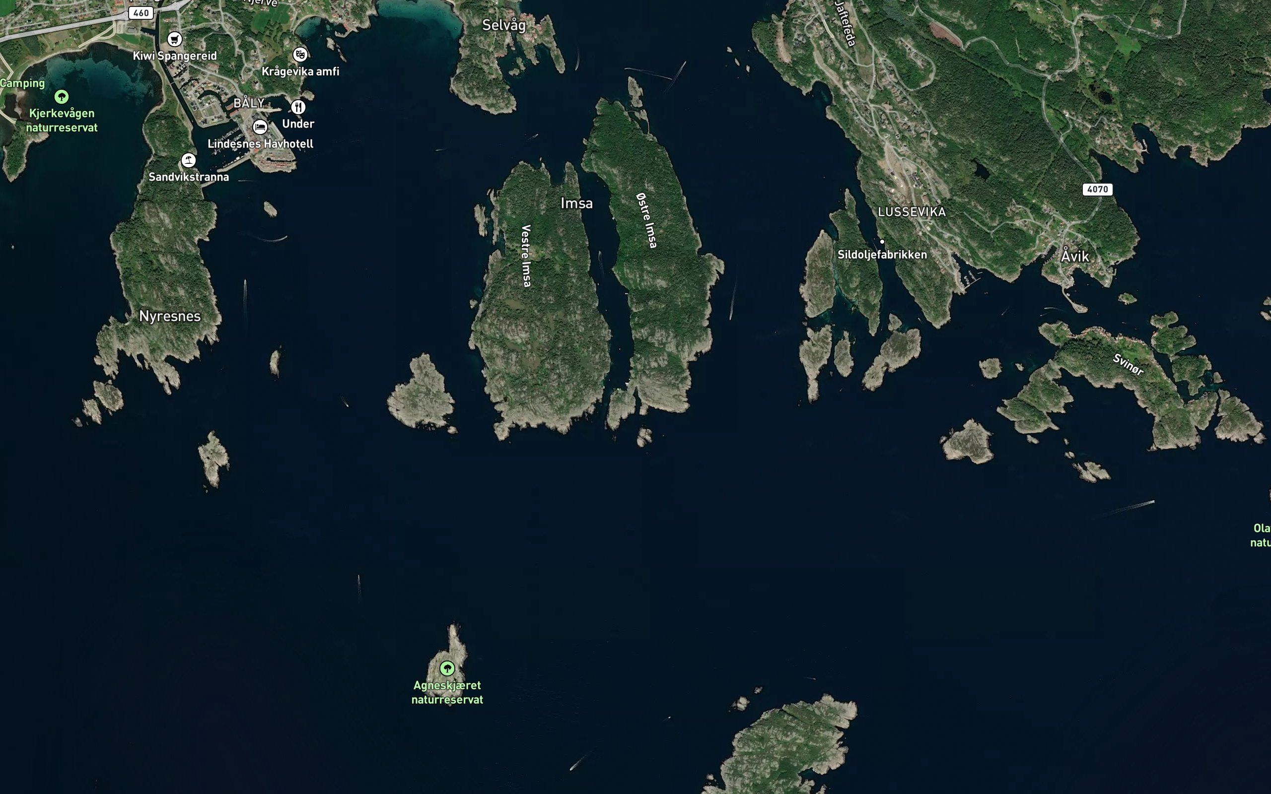 Langevika