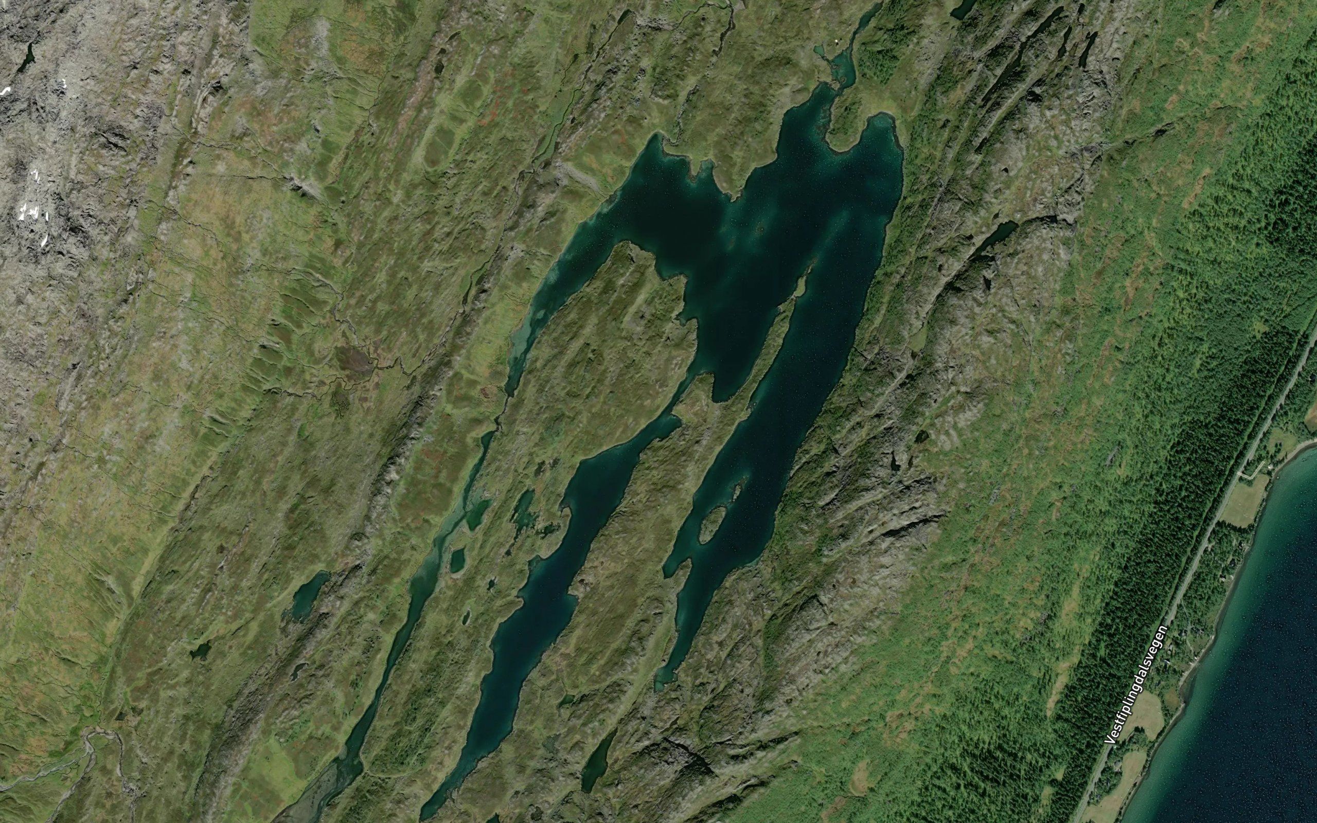Stortjorna
