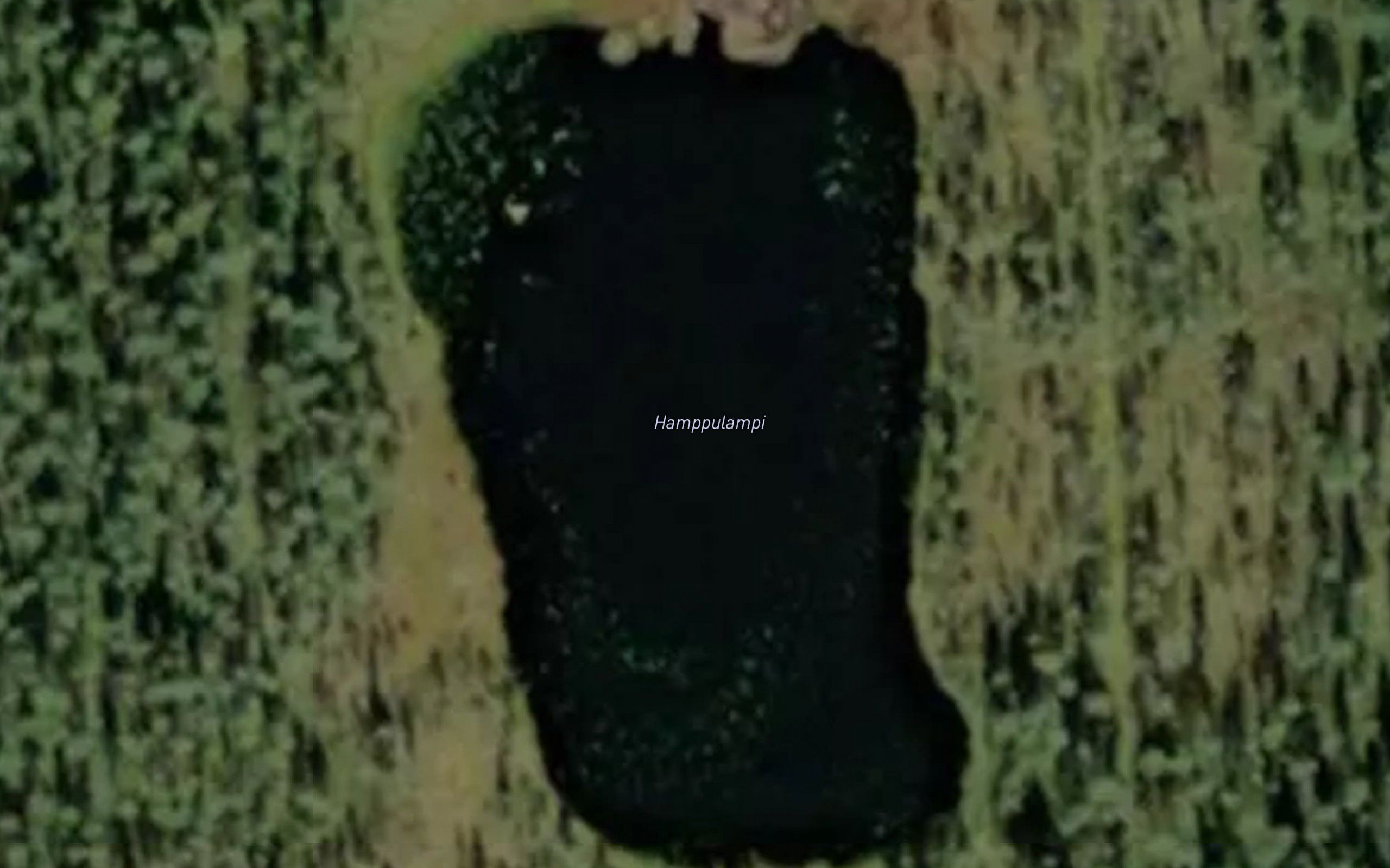 Hamppulampi