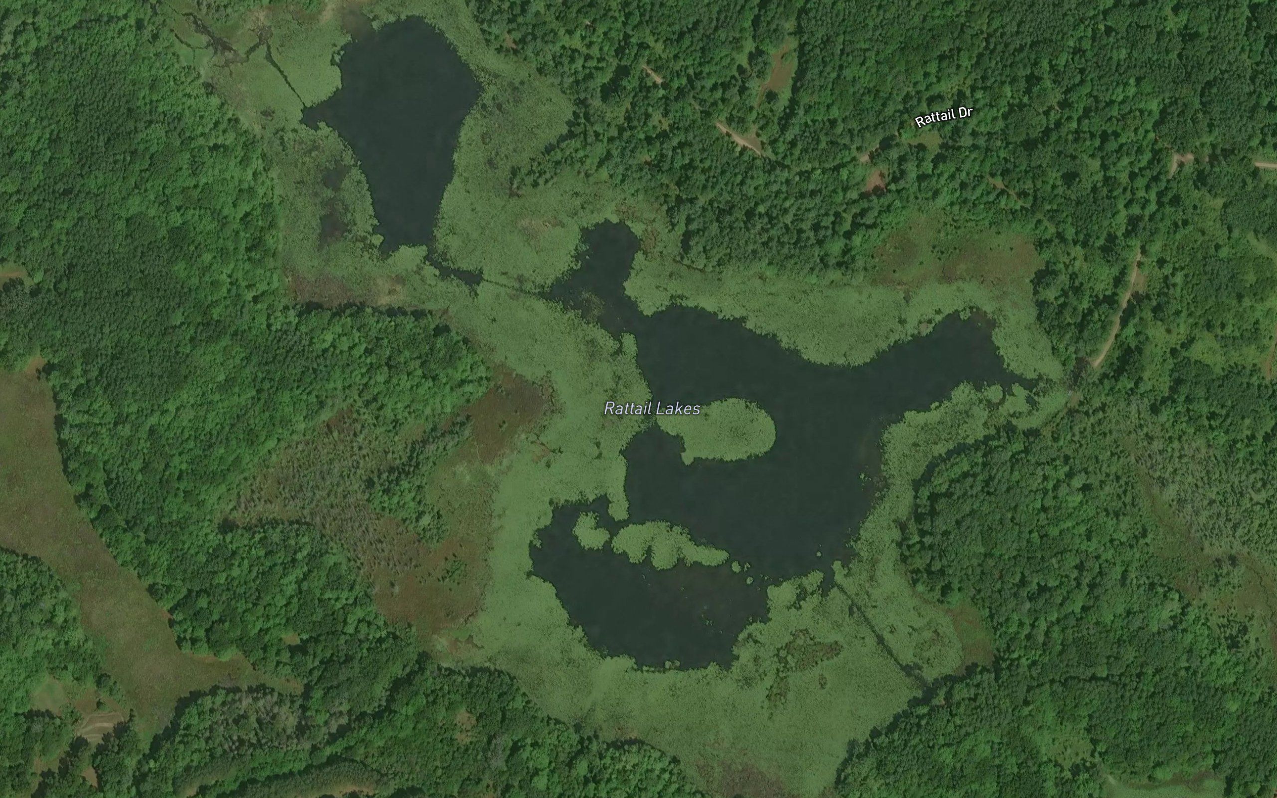 Rattail Lakes
