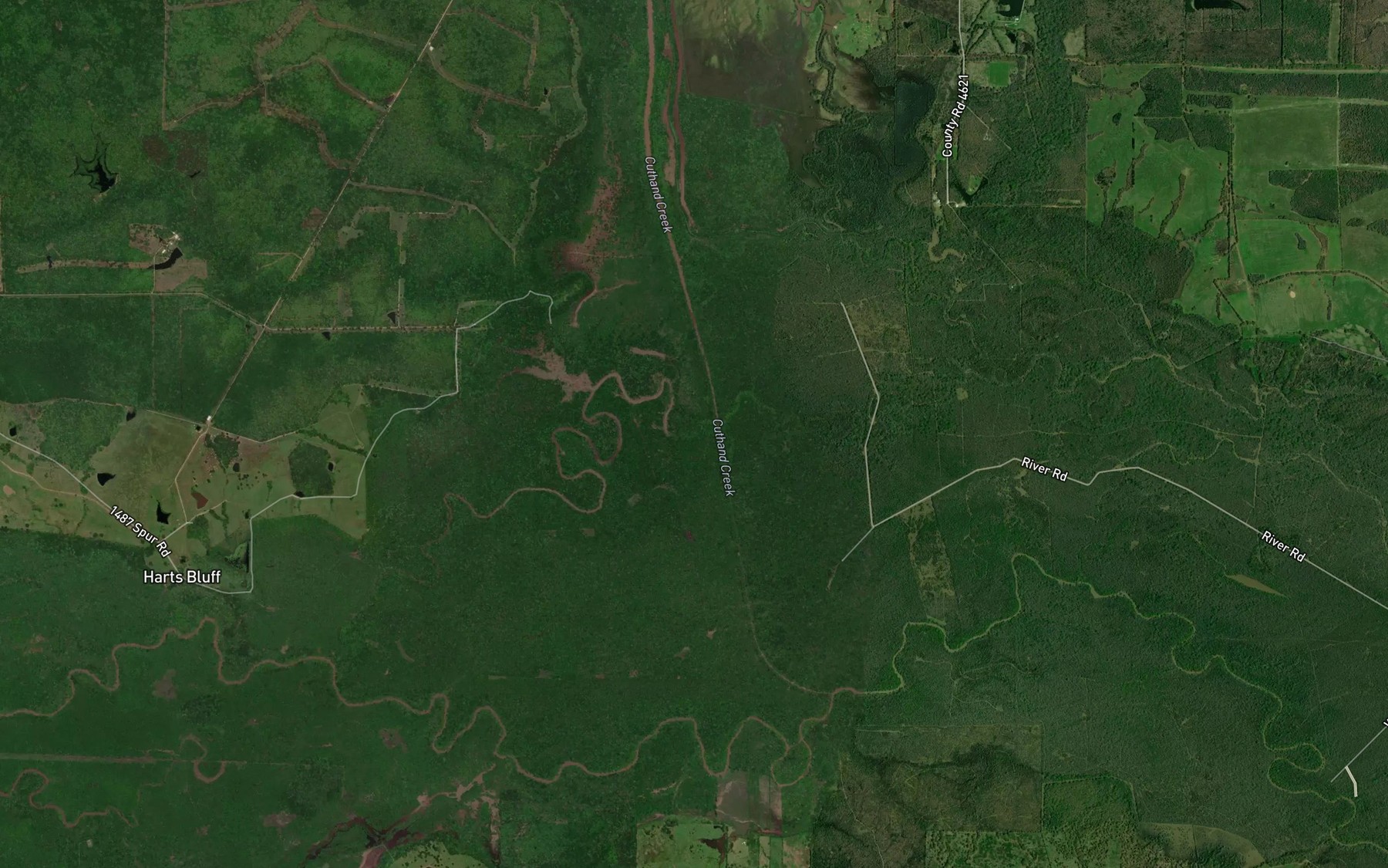 Satellite map of the Big Slough