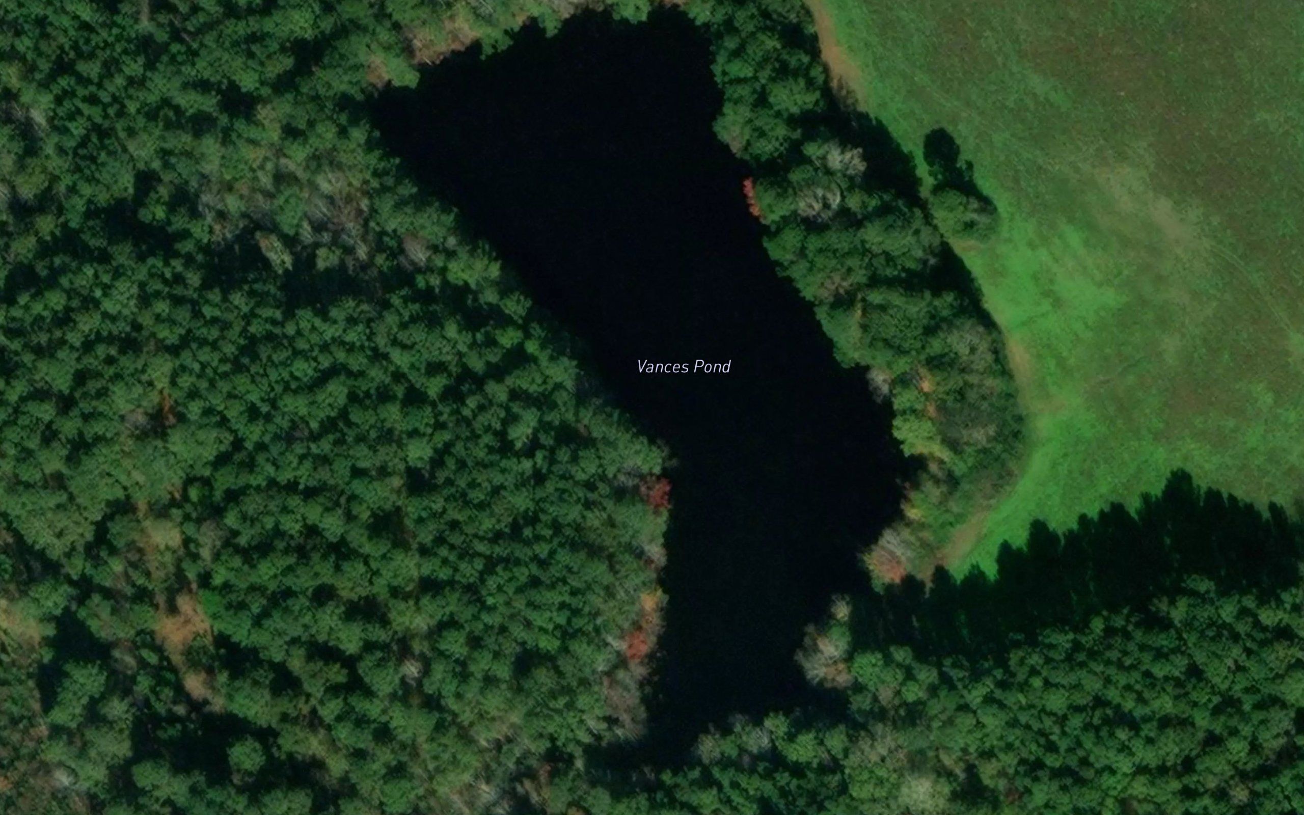 Vances Pond