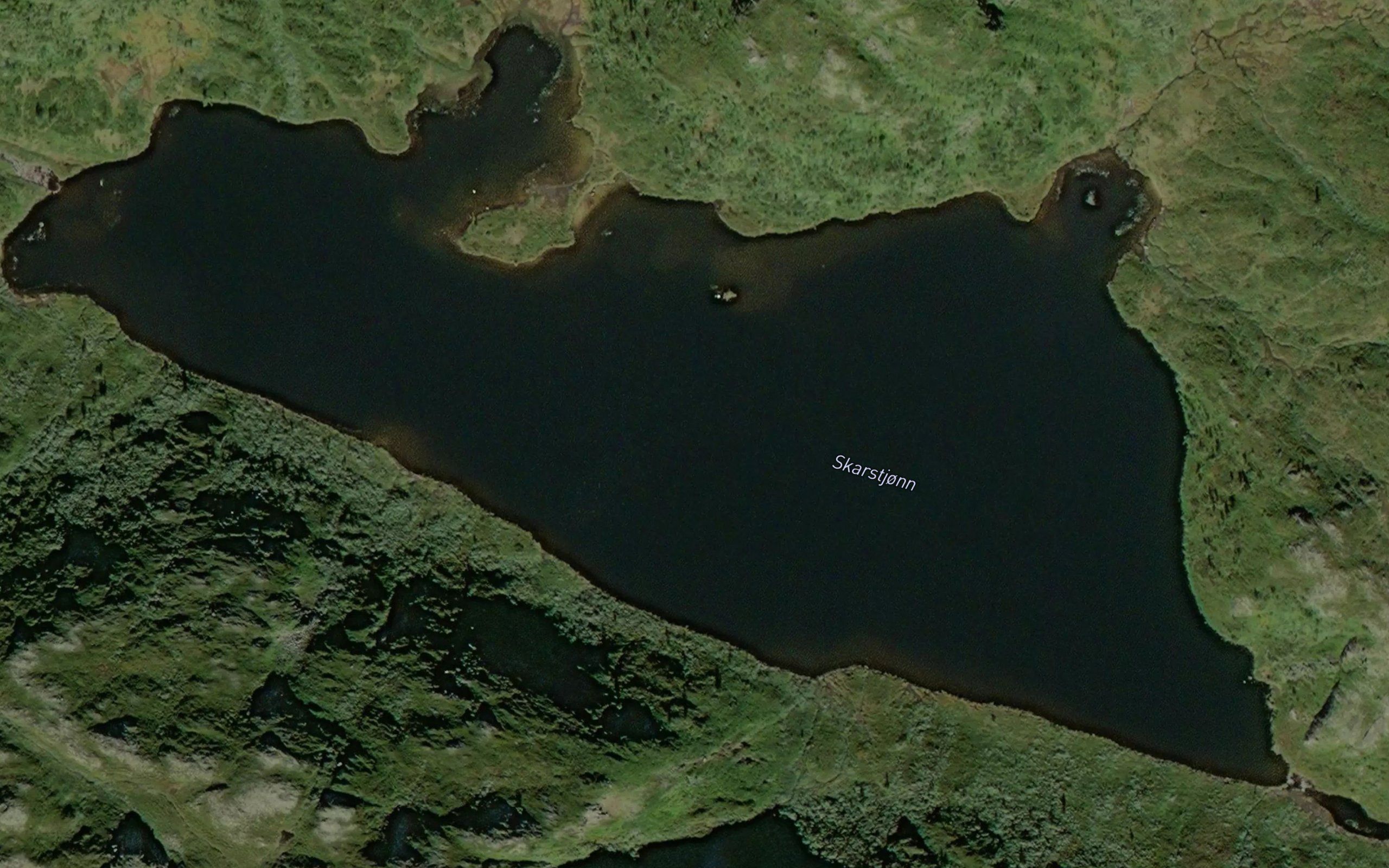 Skardtjorn