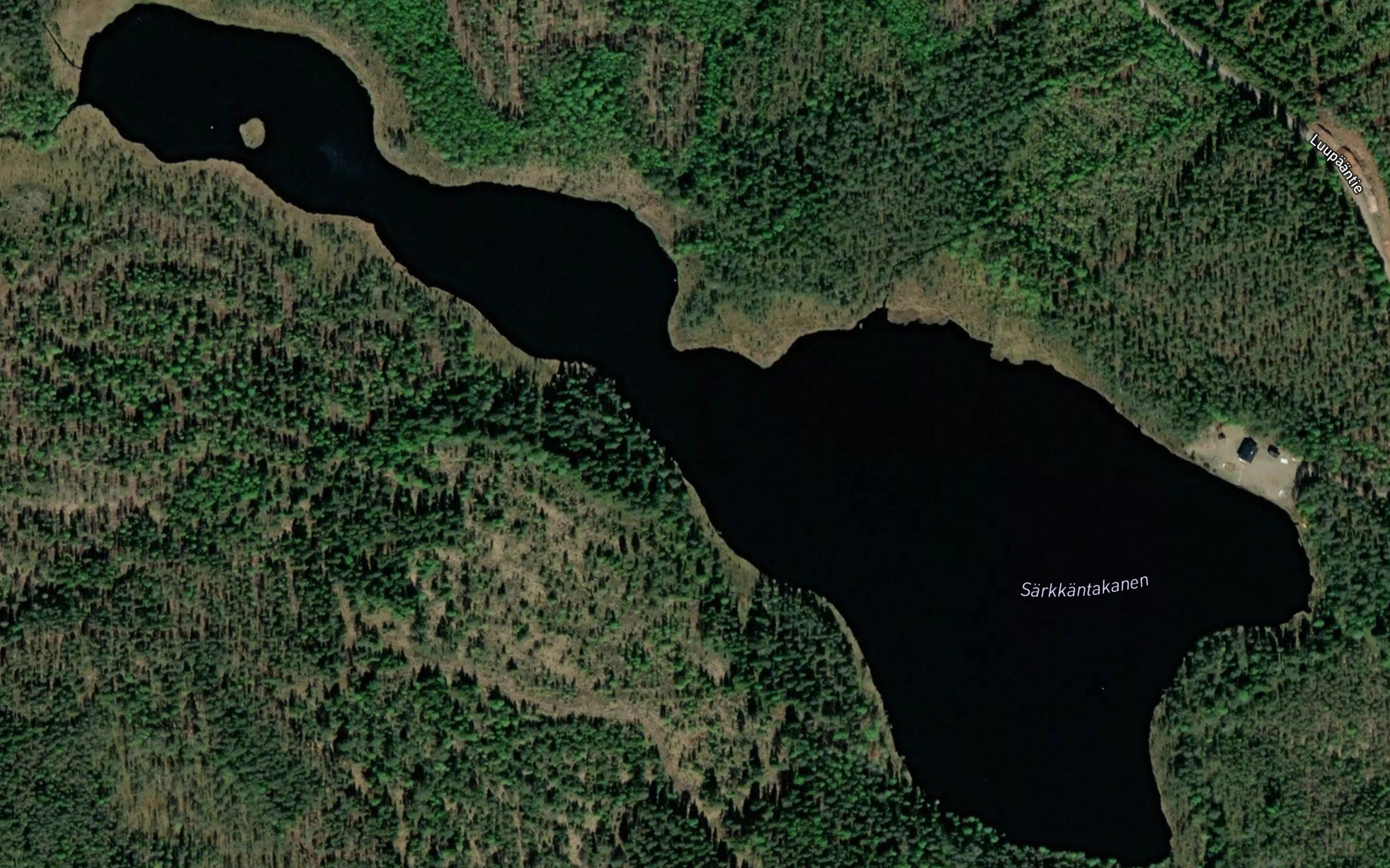 Sarkantakanen