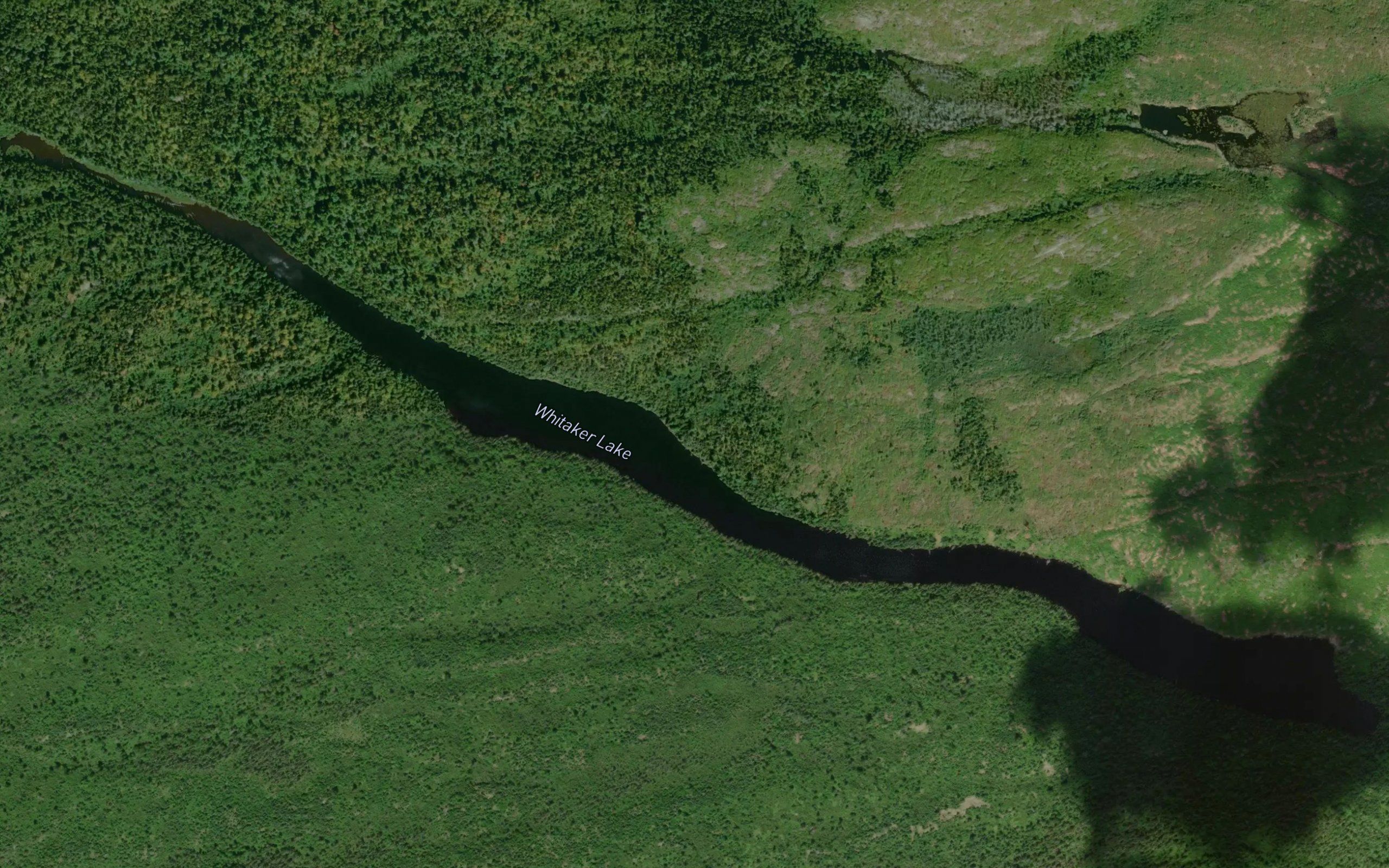 Whitaker Lake