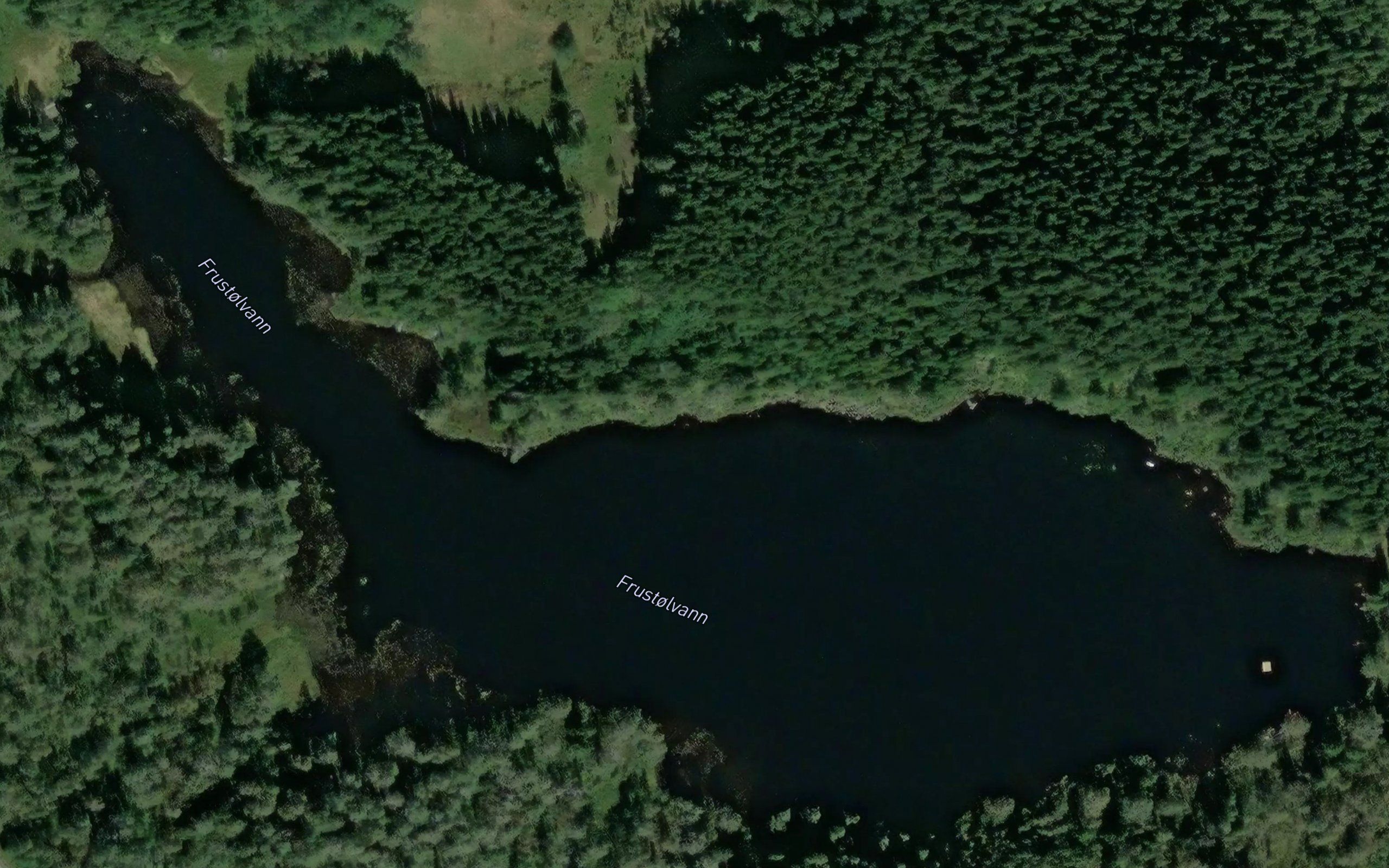 Frustolvann