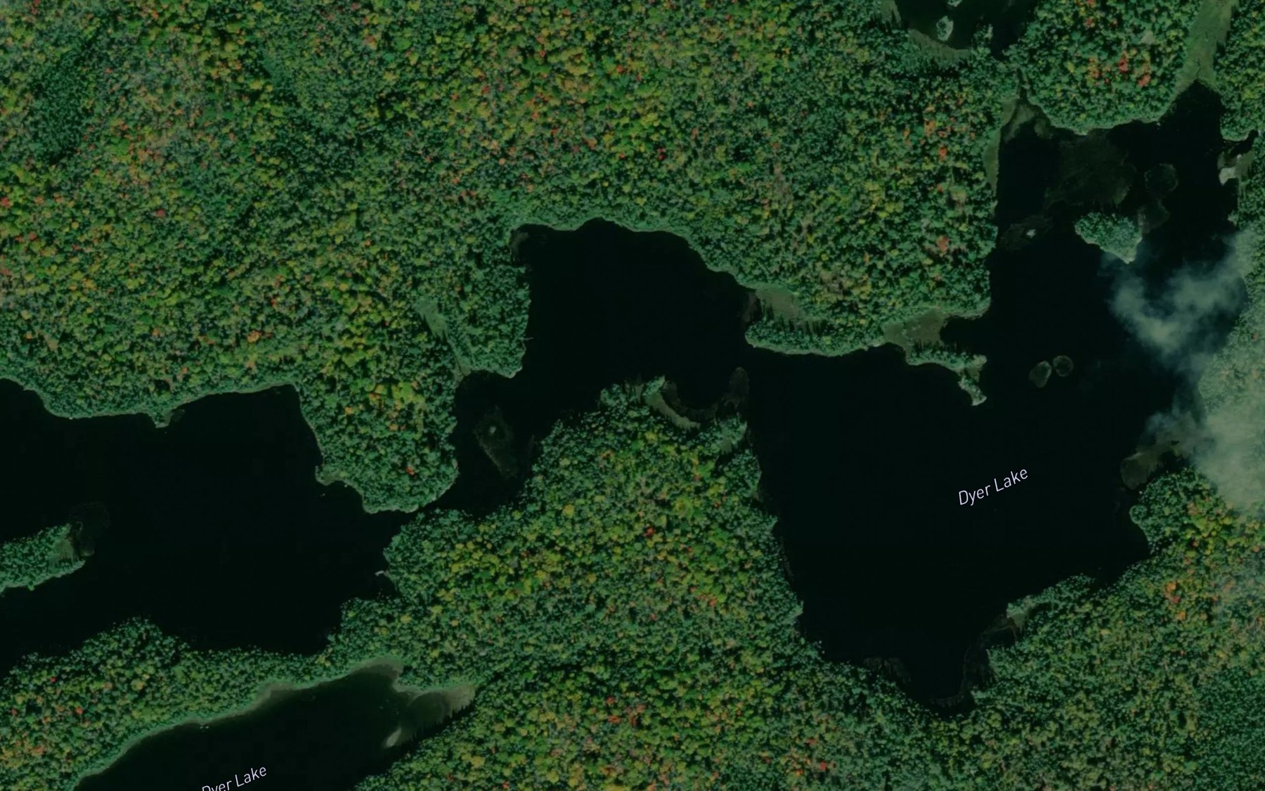 Satellite map of the Dyer Lake