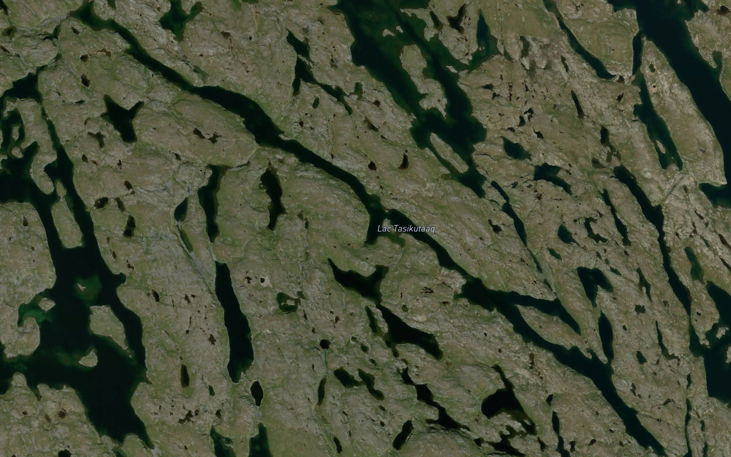 Lac Tasikutaaq