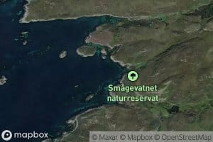 Rognalsvika
