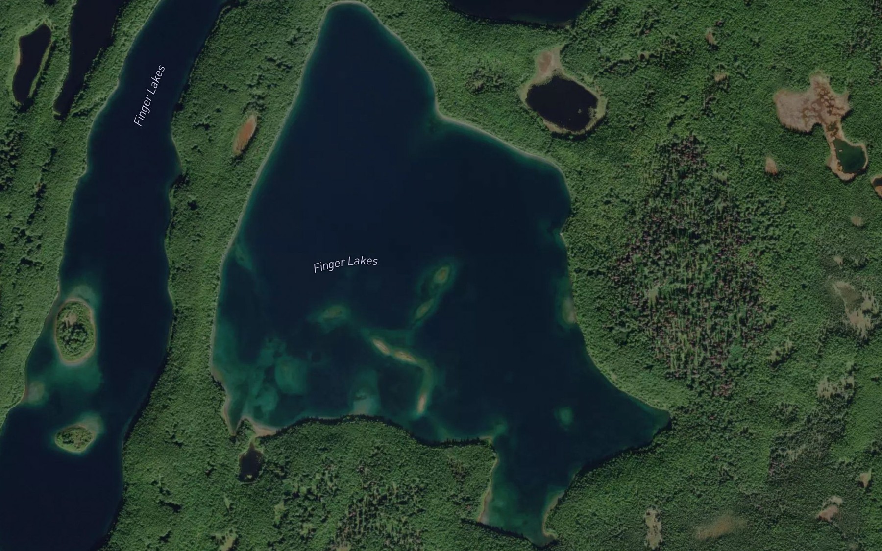 Satellite map of the South Finger Lake