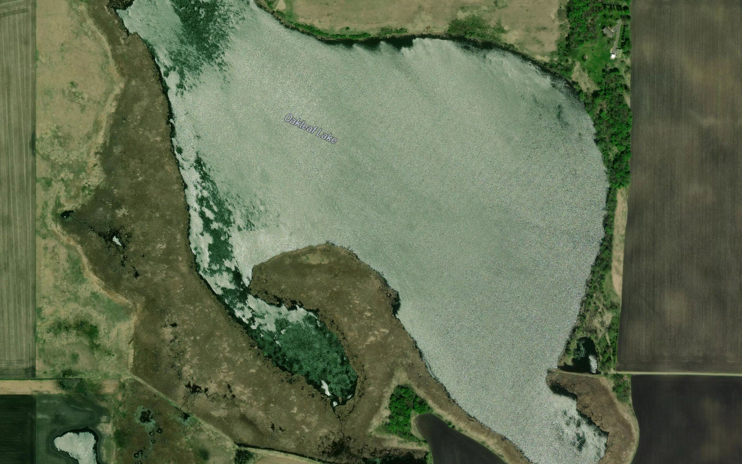 Oakleaf Lake