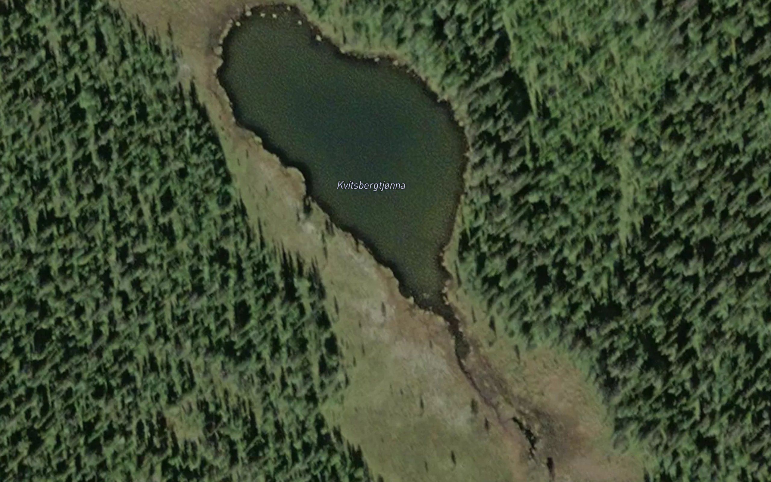 Kvitbergstjonna