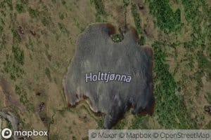 Holttjonn