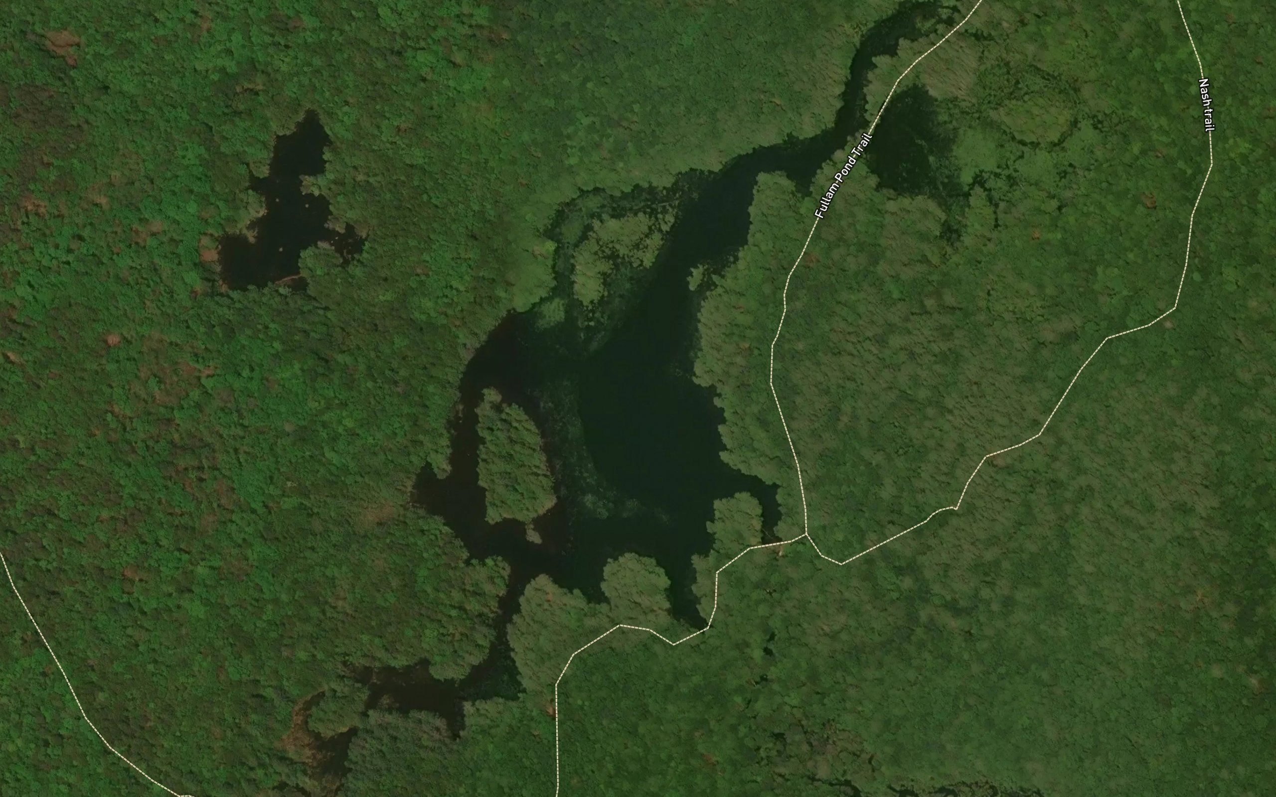 Fullam Pond